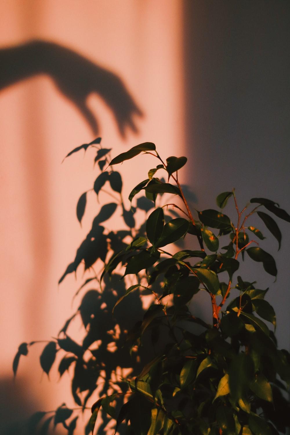 1000x1500 Sunny Morning Picture. Download Free Image