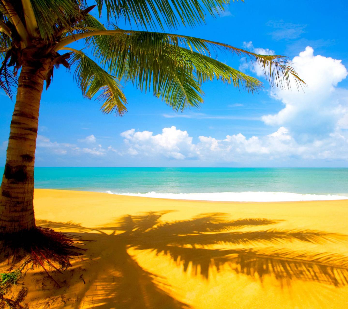1439x1280 Download Sunny Day Wallpaper HD By RadkaNovkov. Wallpaper