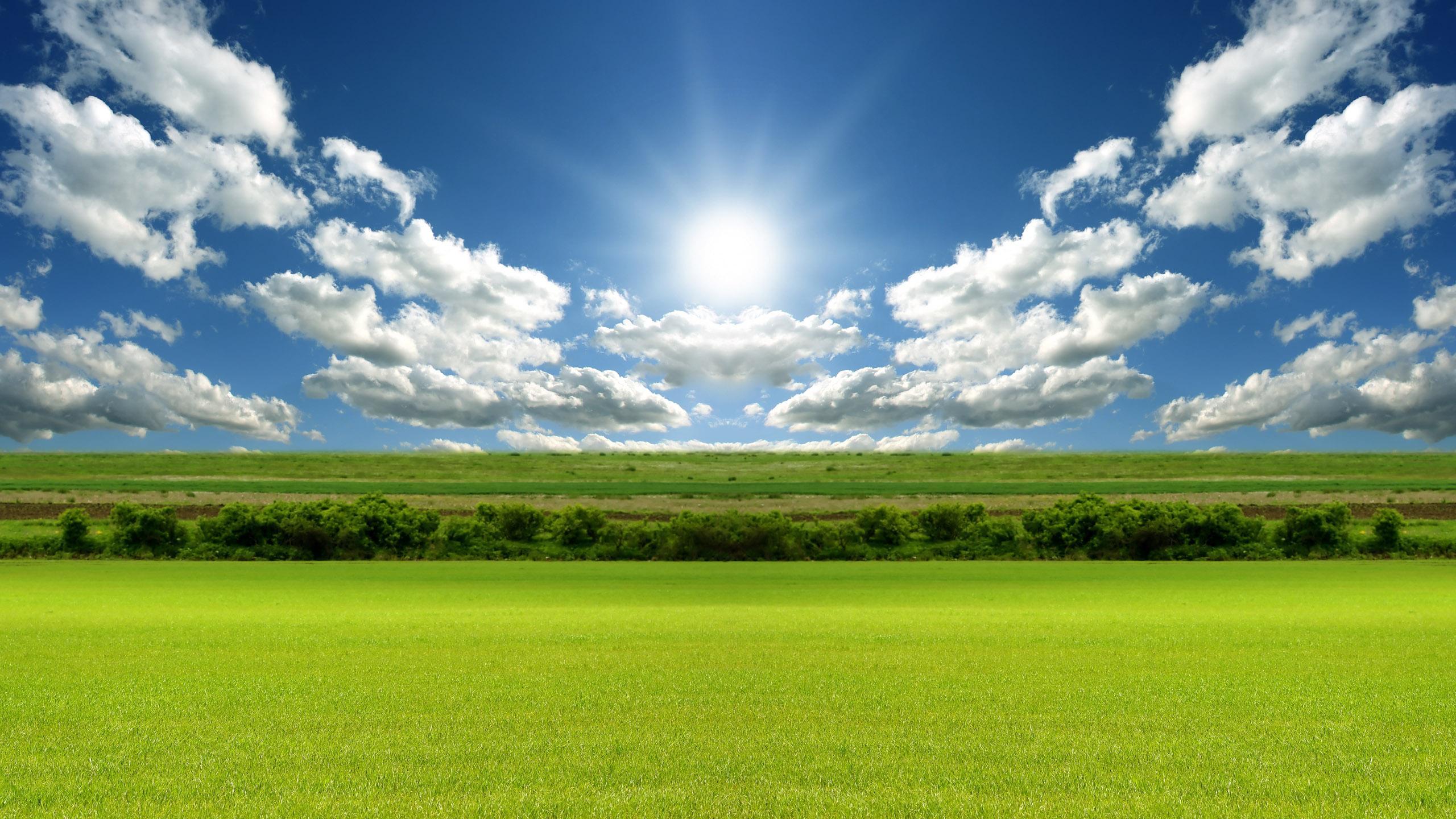 2560x1440 Sunny Day Wallpaper