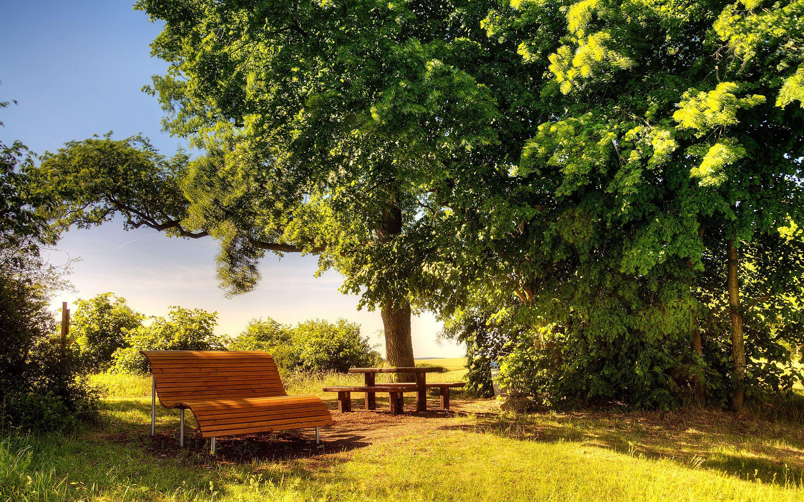 2560x1600 Sunny day Bench