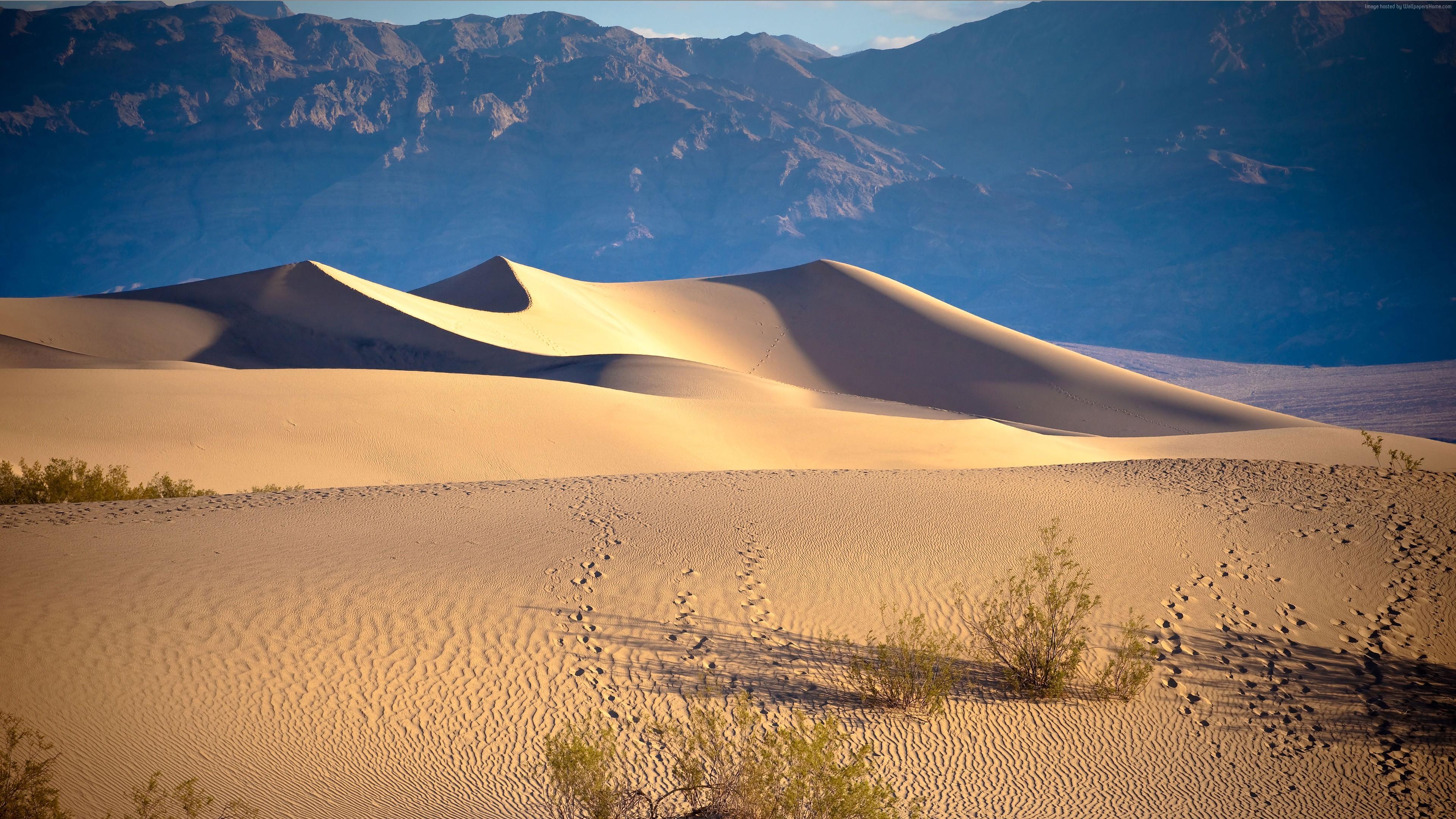 Death Valley 4K Wallpapers - Top Free Death Valley 4K Backgrounds ...