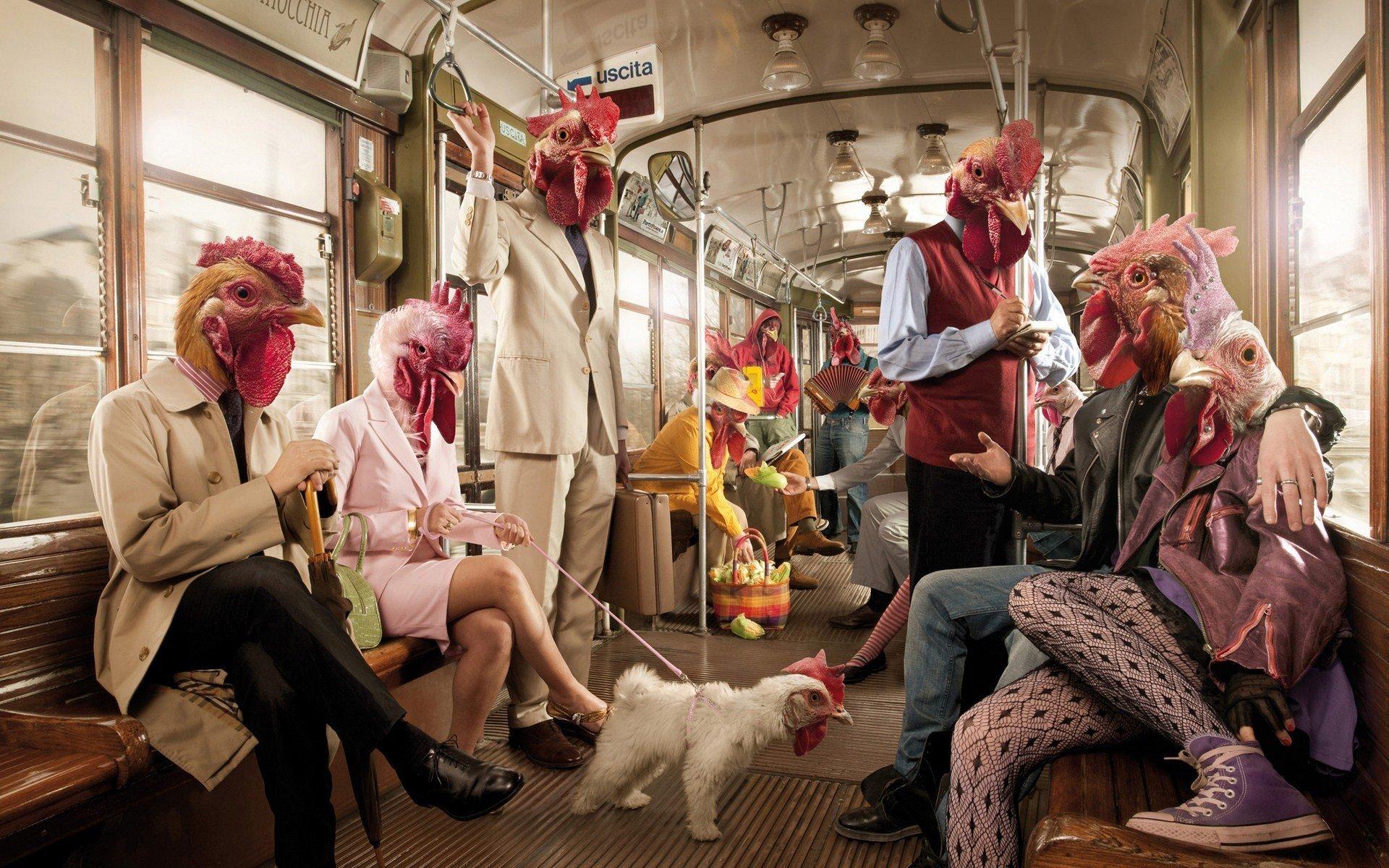 1920x1200 chicken, Men, Funny, Subway Wallpaper HD / Desktop and Mobile Background