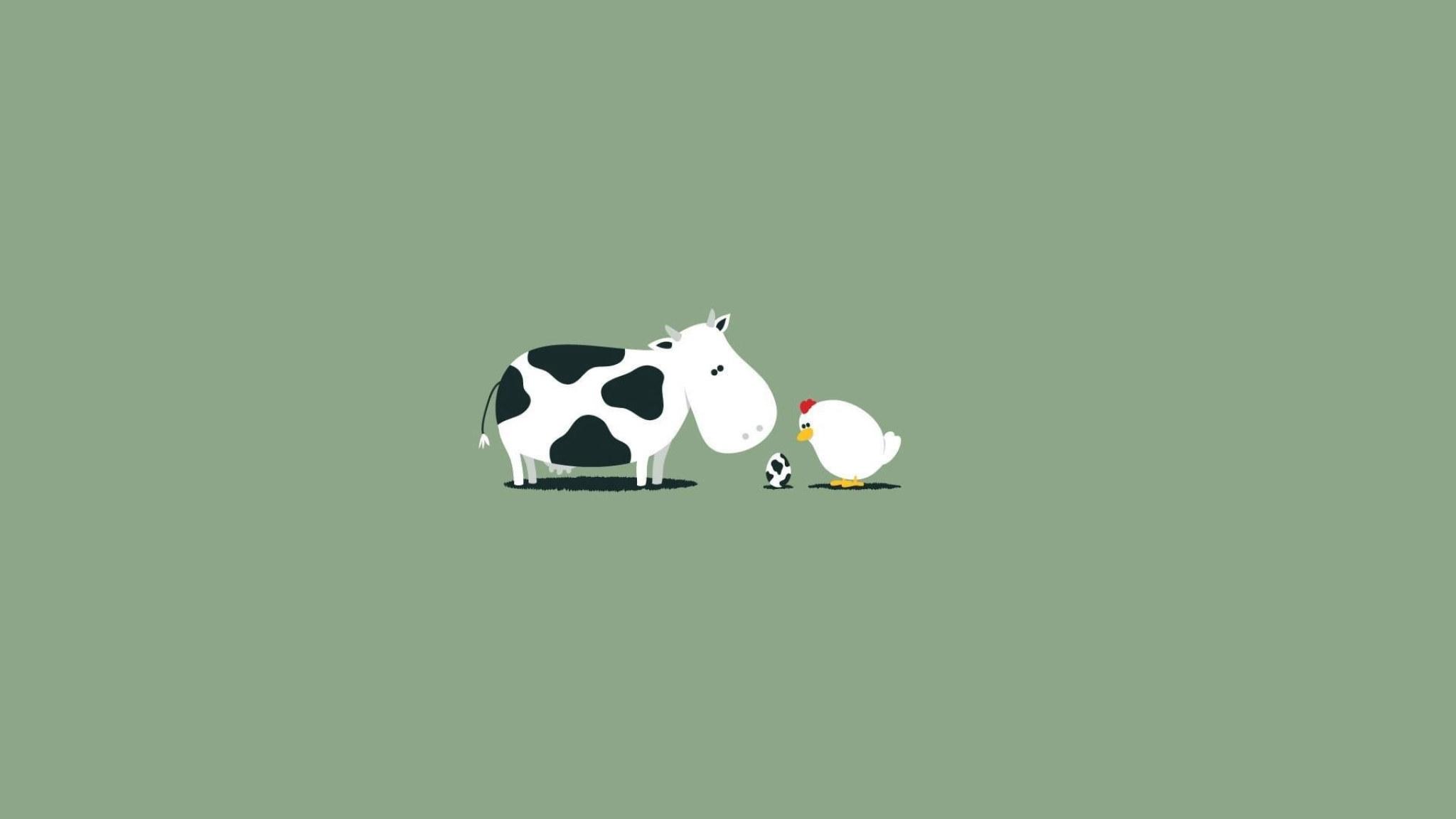 2048x1152 Cow wallpaper, chicken and the egg, cow and hen illustration, funny, 1920x1080 • Wallpaper For You HD Wallpaper For Desktop & Mobile