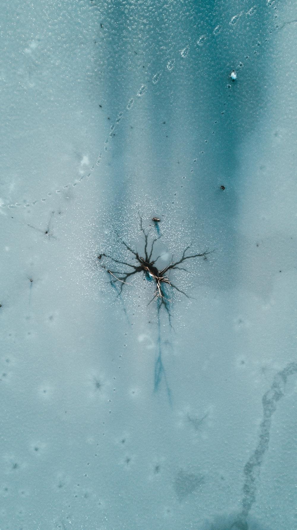 1000x1781 iPhone Wallpaper: Free HD Download [HQ]