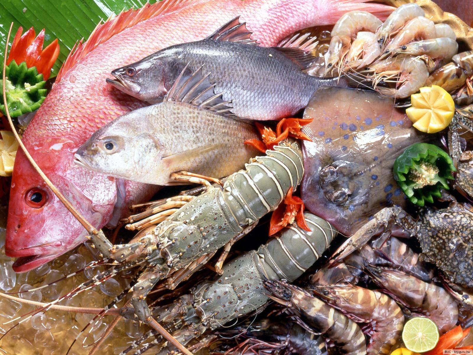 1600x1200 Photos Fish Food Seafoods