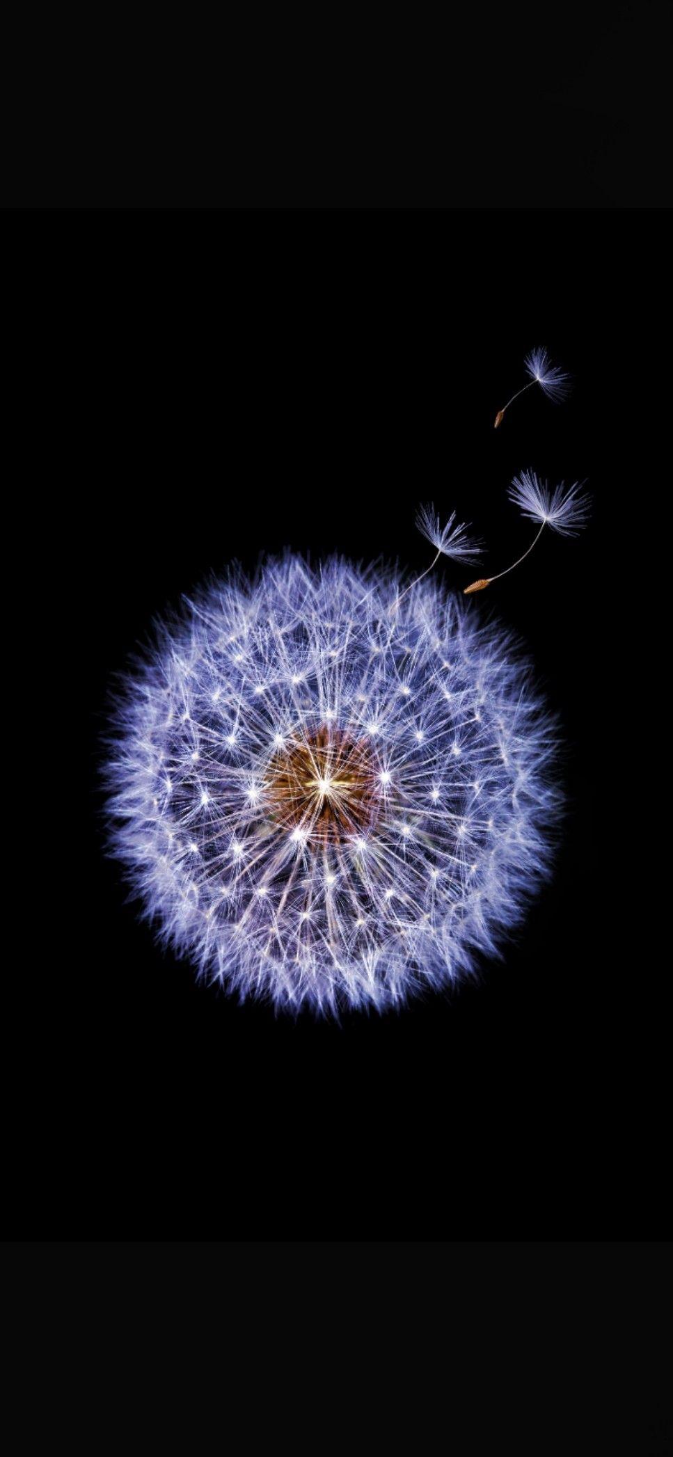 Galaxy S8 OLED Wallpapers Top Free Galaxy S8 OLED Backgrounds