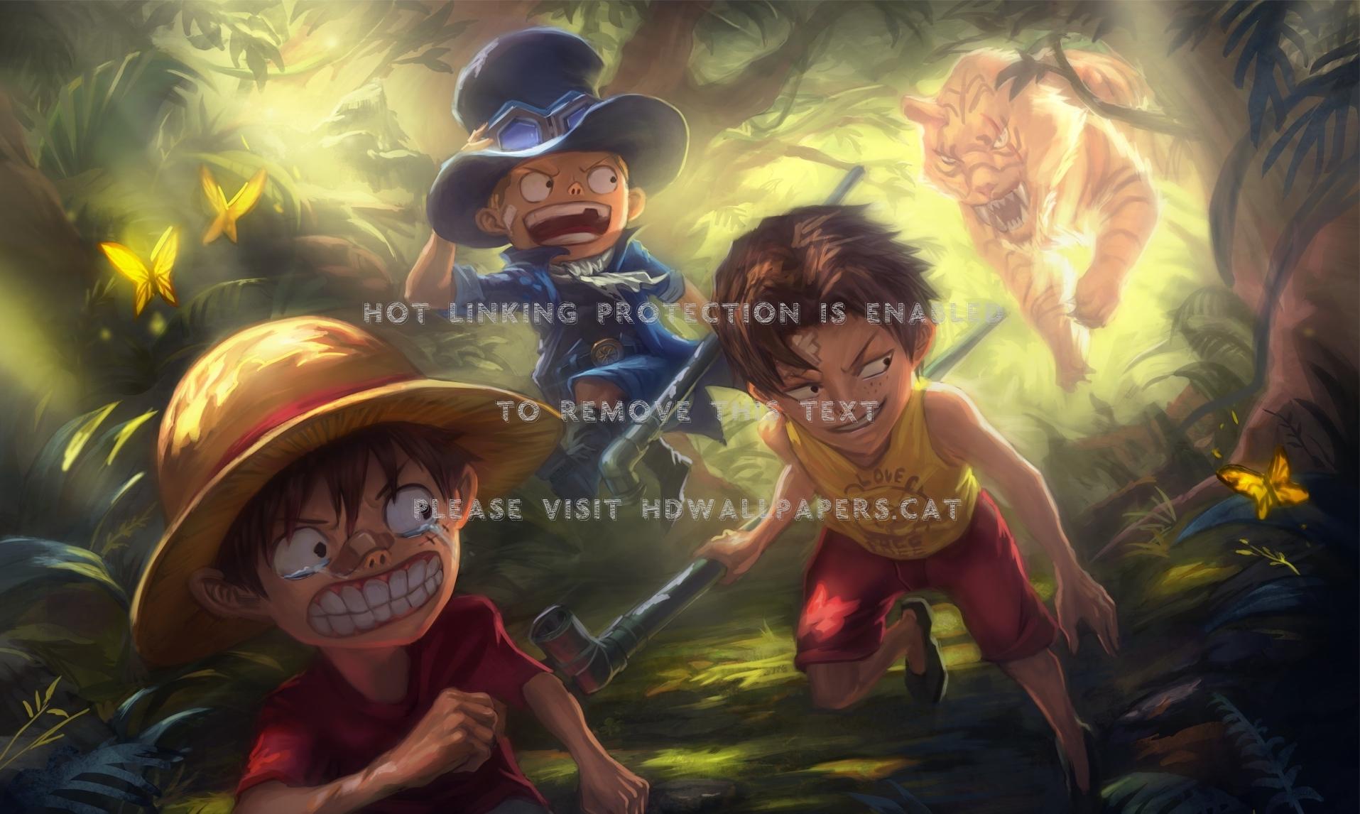1915x1146 run! anime kids former noble monkey luffy