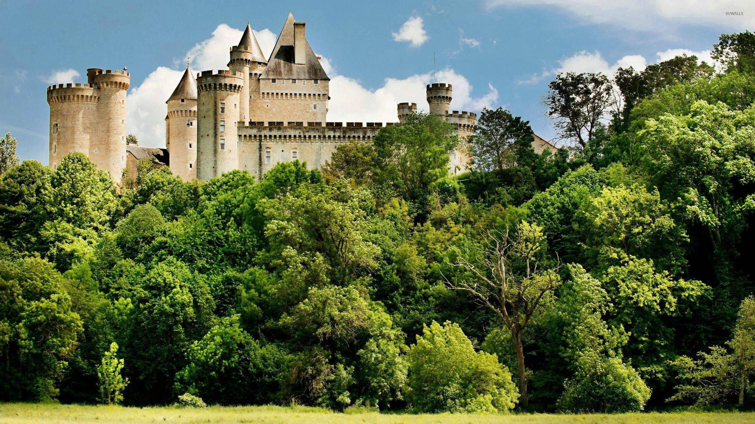 2560x1440 Chateau de Chabenet, France wallpaper wallpaper