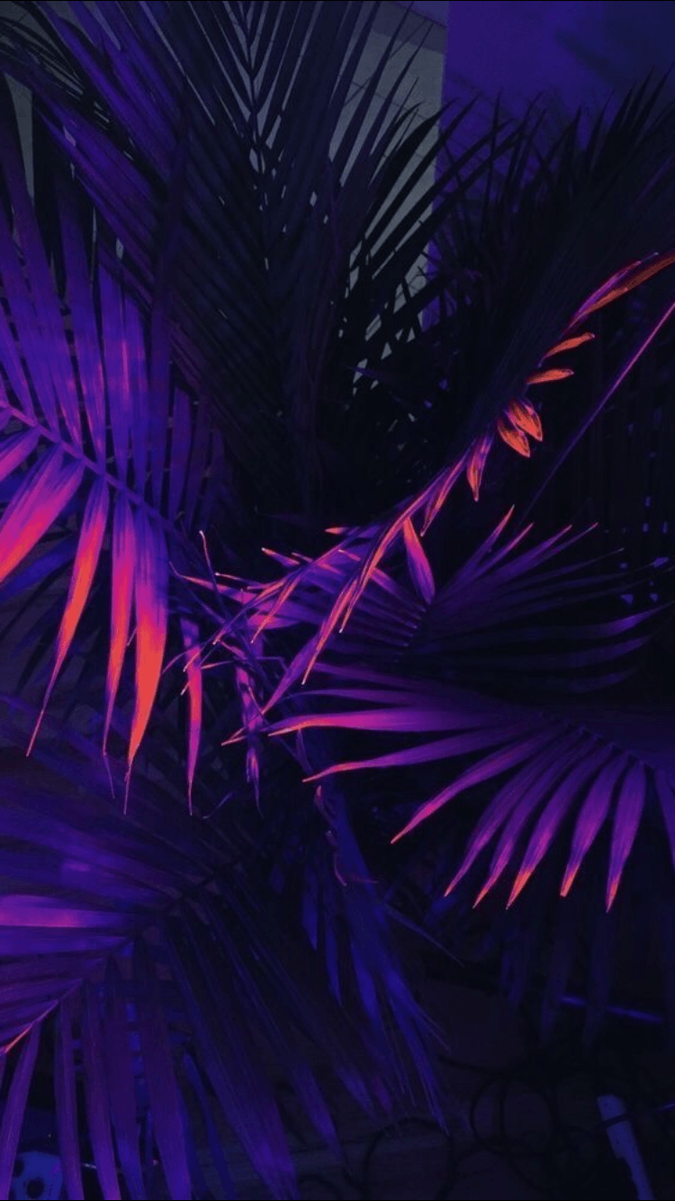 750x1334 Purple Aesthetic Wallpaper