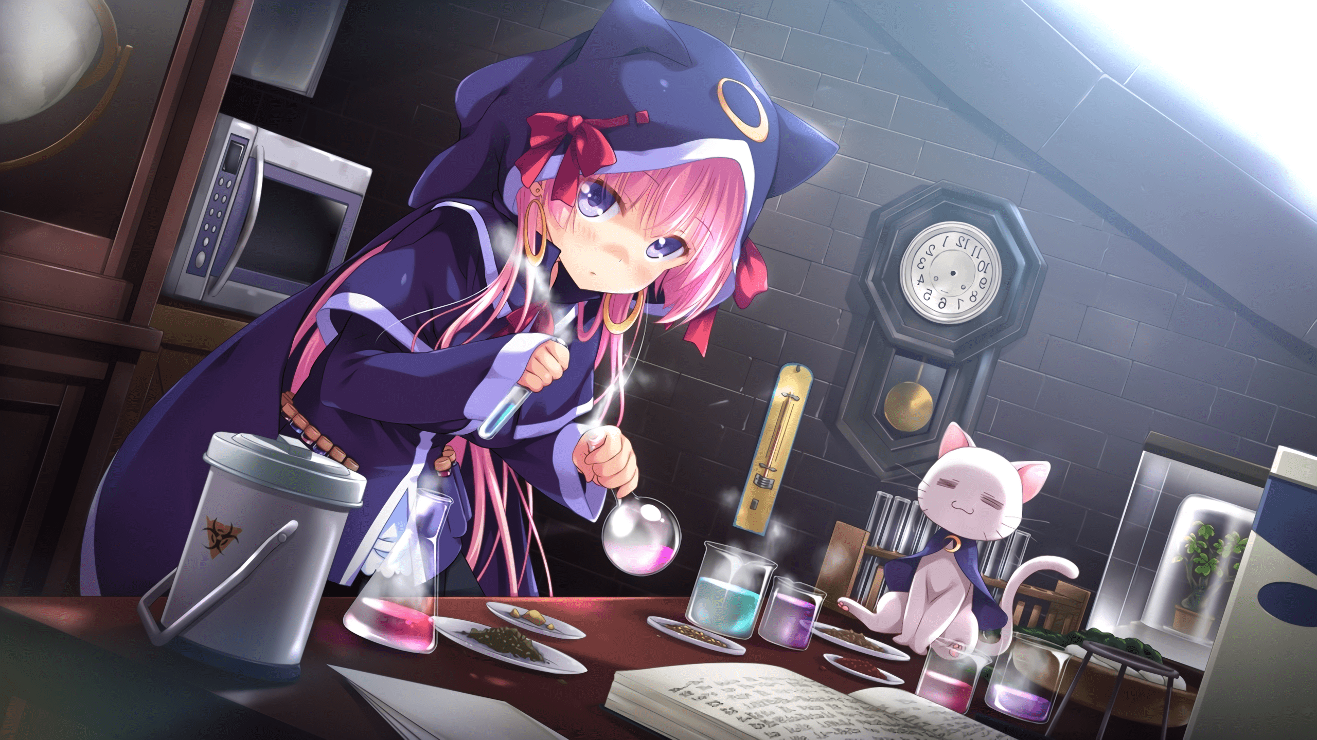 2560x1440 catgirl wallpaper WallpaperUP. Cat girl, Girl wallpaper, Anime cat