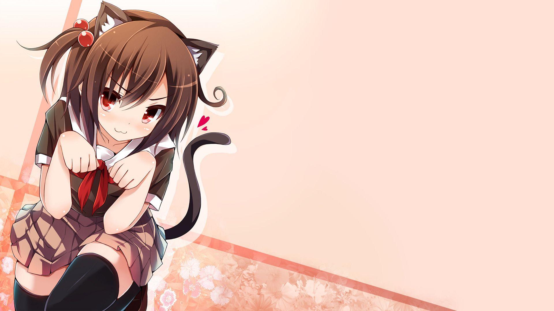 Cat Girl Anime Desktop Wallpapers Top Free Cat Girl Anime Desktop Backgrounds Wallpaperaccess 3106