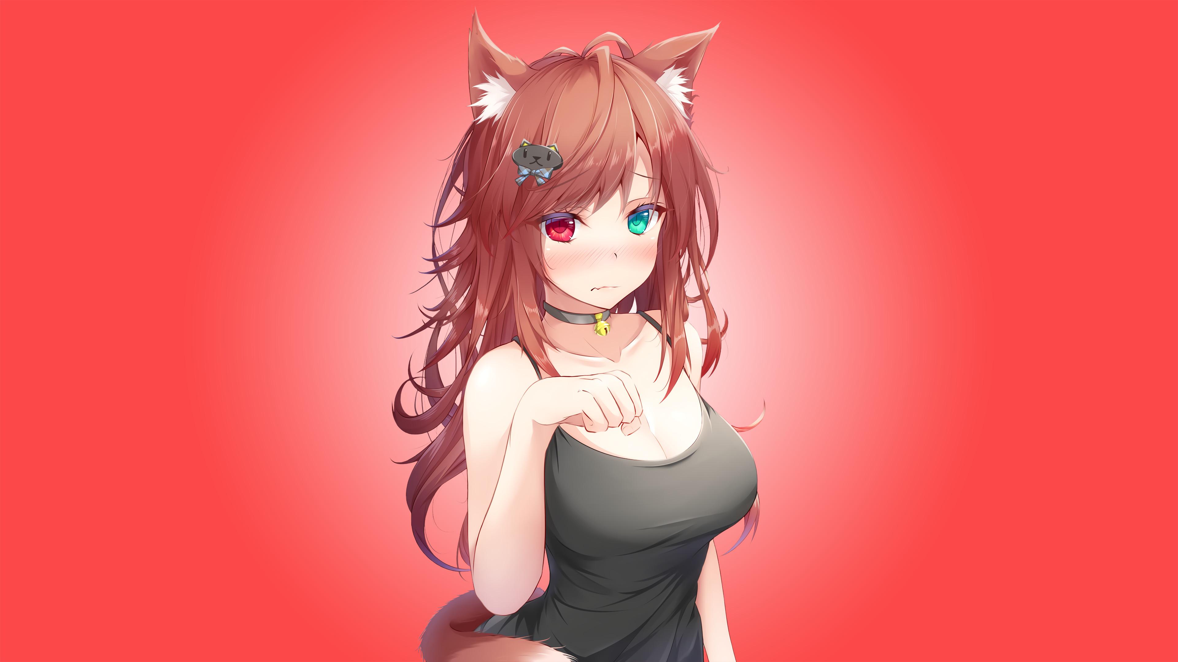 3840x2160 Free download Anime Cat Girl Wallpaper - [3840x2160] for your Desktop, Mobile & Tablet. Explore Embarrassing Desktop Wallpaper. Embarrassing Wallpaper, Embarrassing Desktop Wallpaper