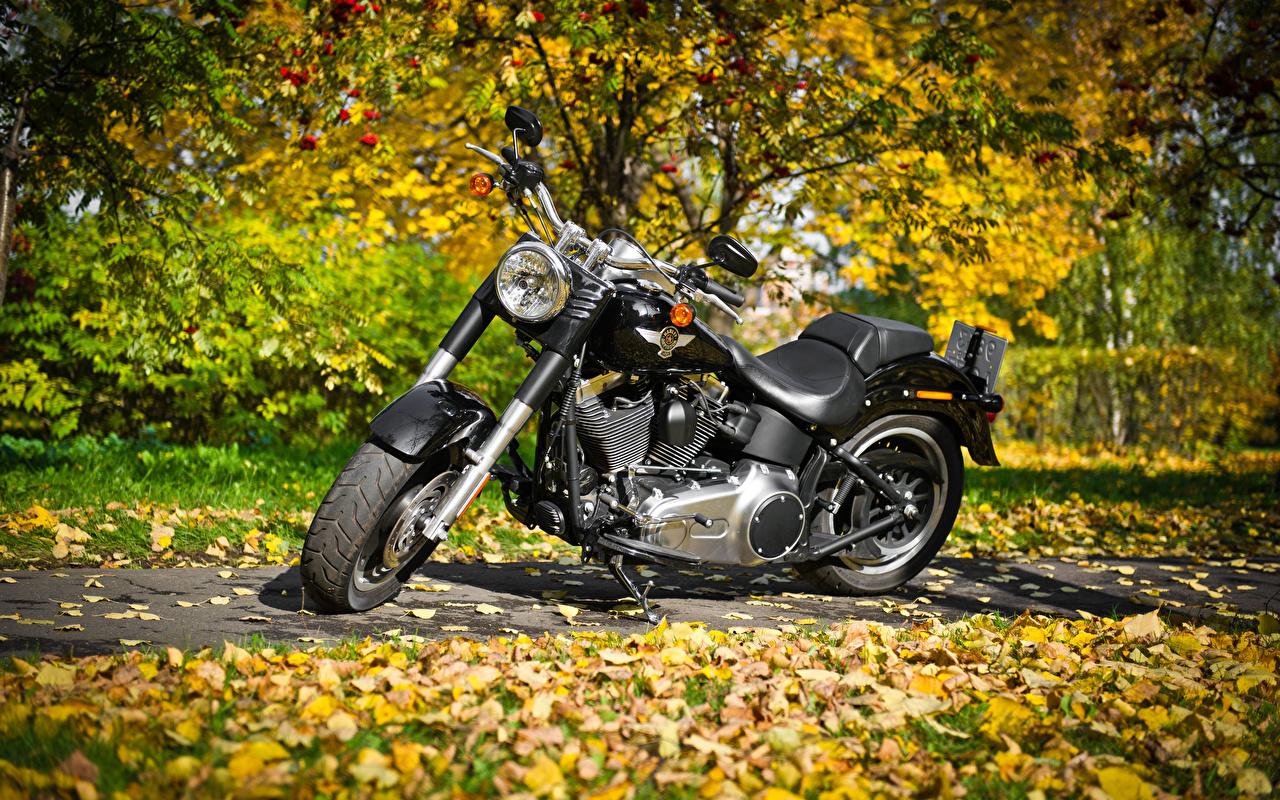 1280x800 Desktop Wallpaper Harley Davidson Motorcycles