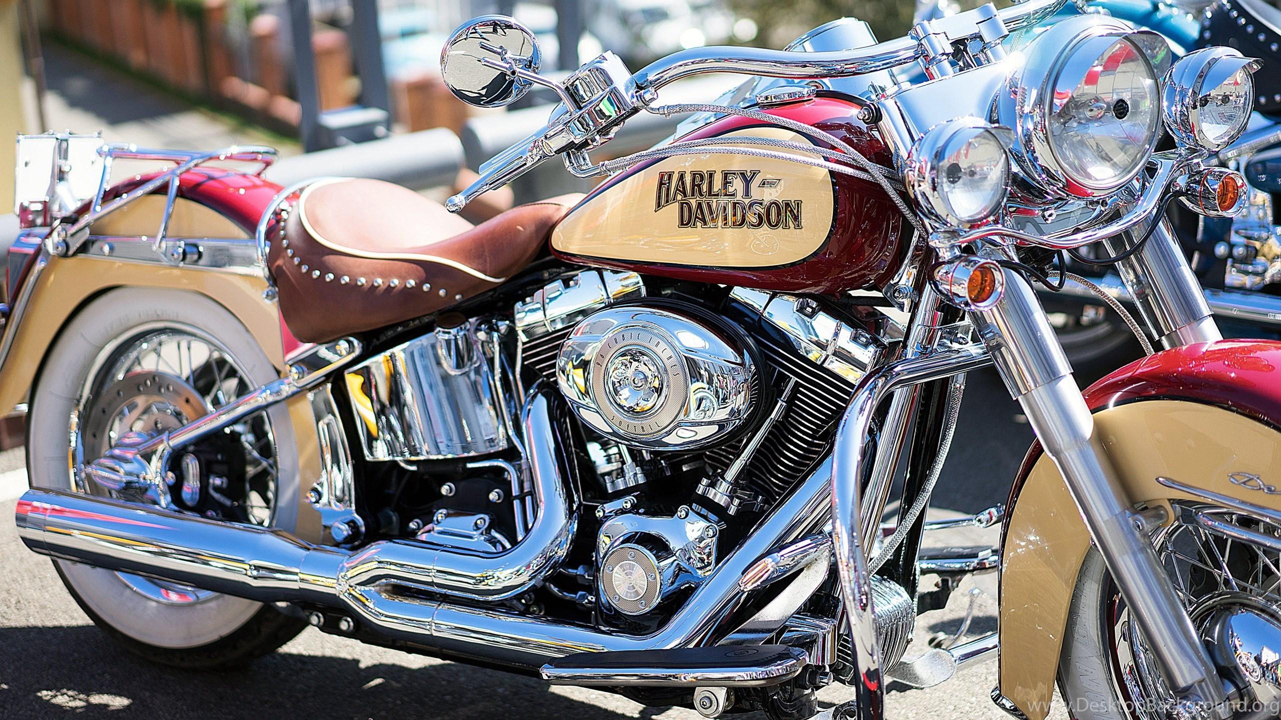2560x1440 Harley Davidson Motorcycle Wallpaper - HD Wallpaper Desktop Background