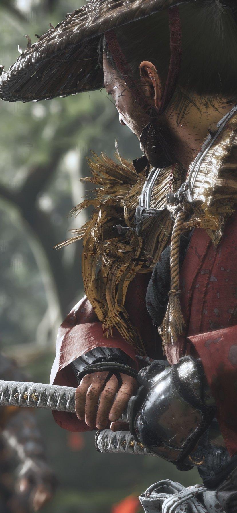828x1792 Video Game Ghost Of Tsushima (828x1792) Wallpaper