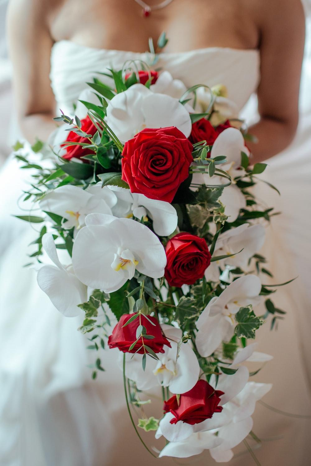 1000x1500 Red And White Rose Picture [HQ]. Download Free Image