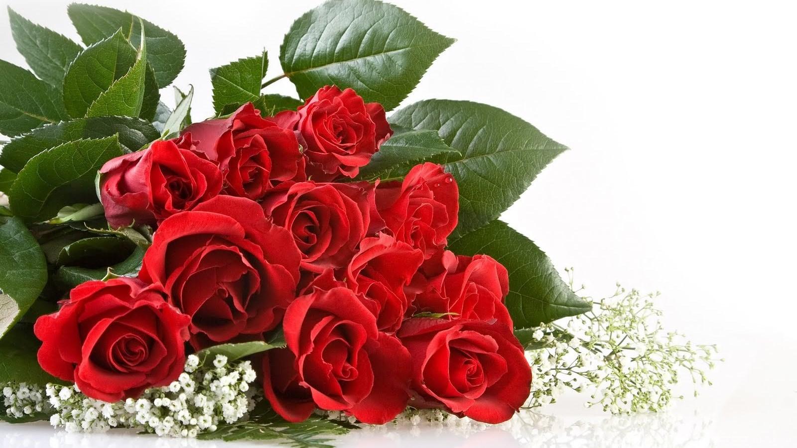 1600x900 Red And White Flower Wallpaper 6 Red Flowers Wallpaper Desktop Background