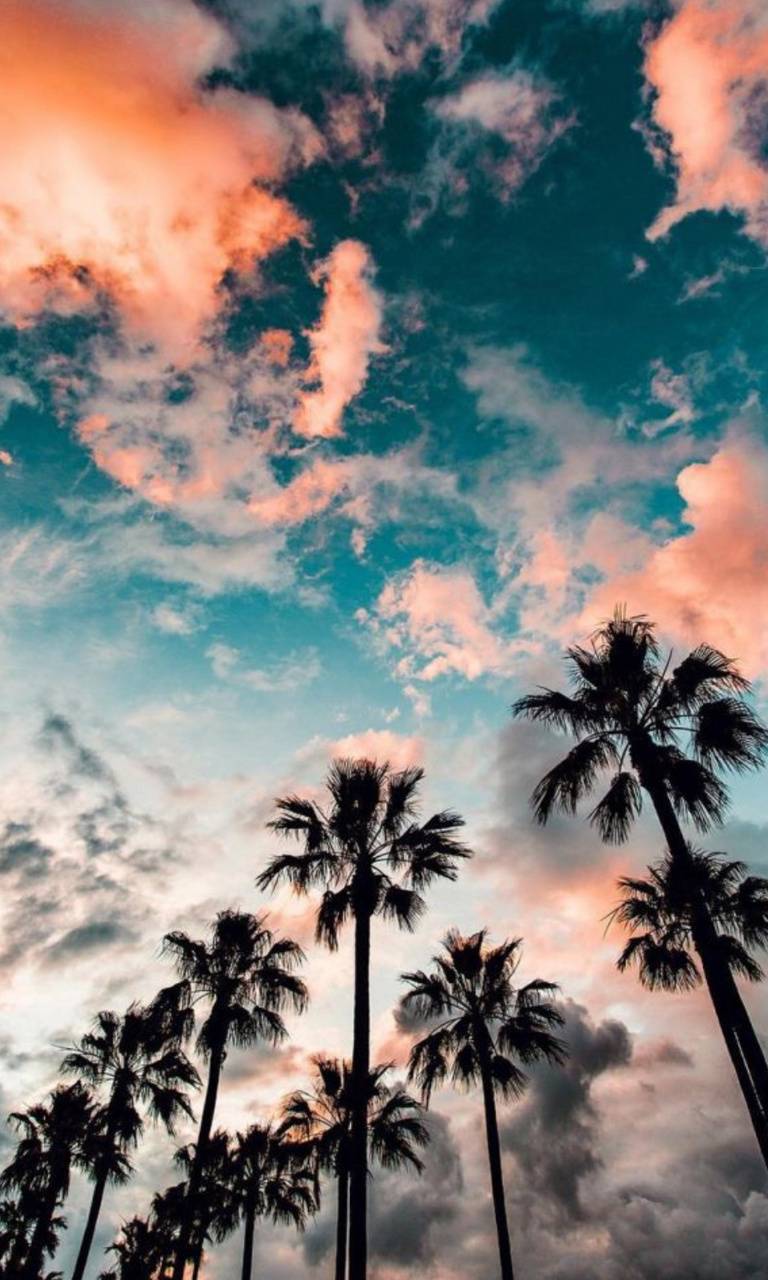768x1280 Sunset beach wallpaper