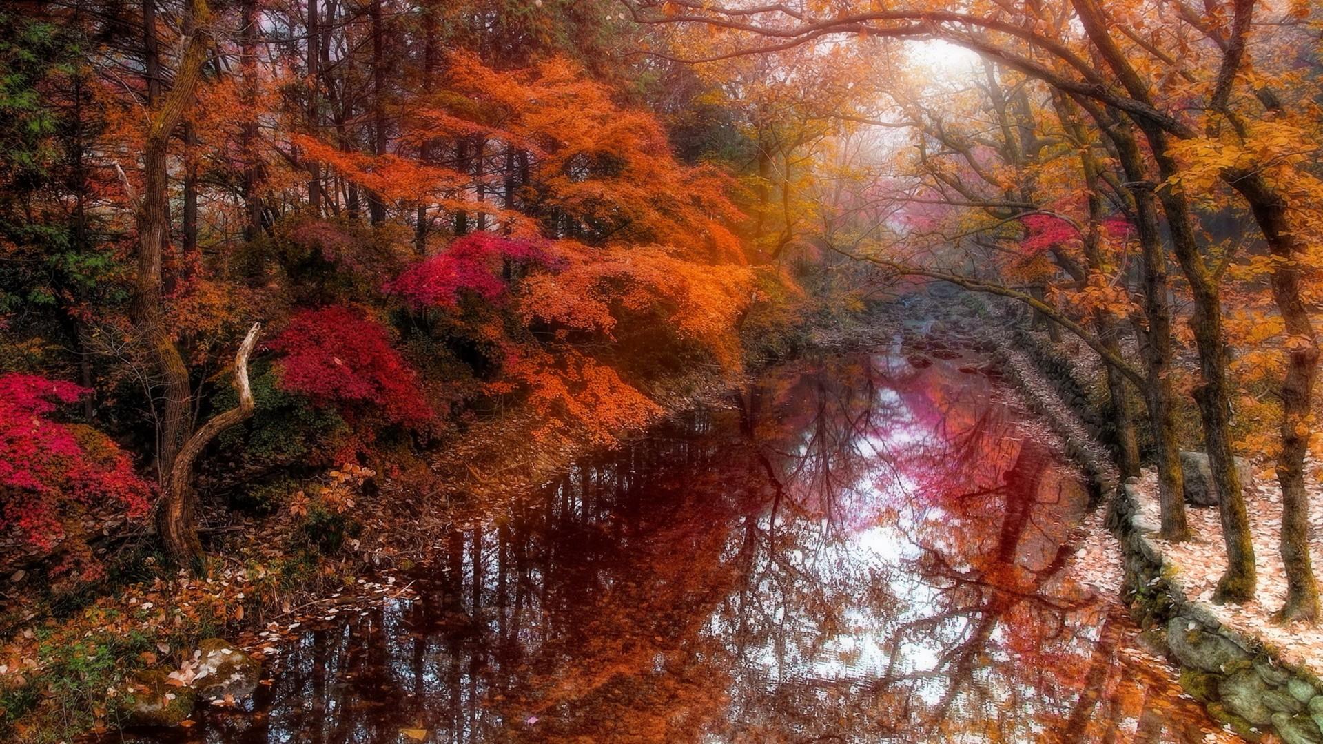 1920x1080 River Beautiful Autumn Forest Wide Wallpaper 551069 :
