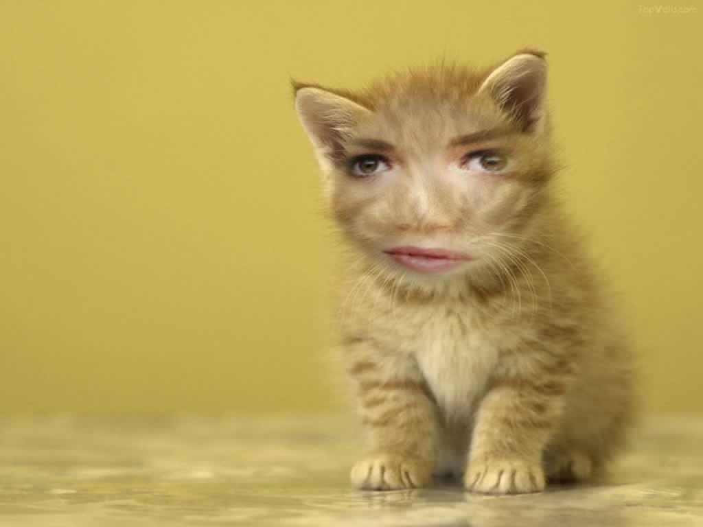 1024x768 Samples of Funny Faces Made by Funny Photo Maker