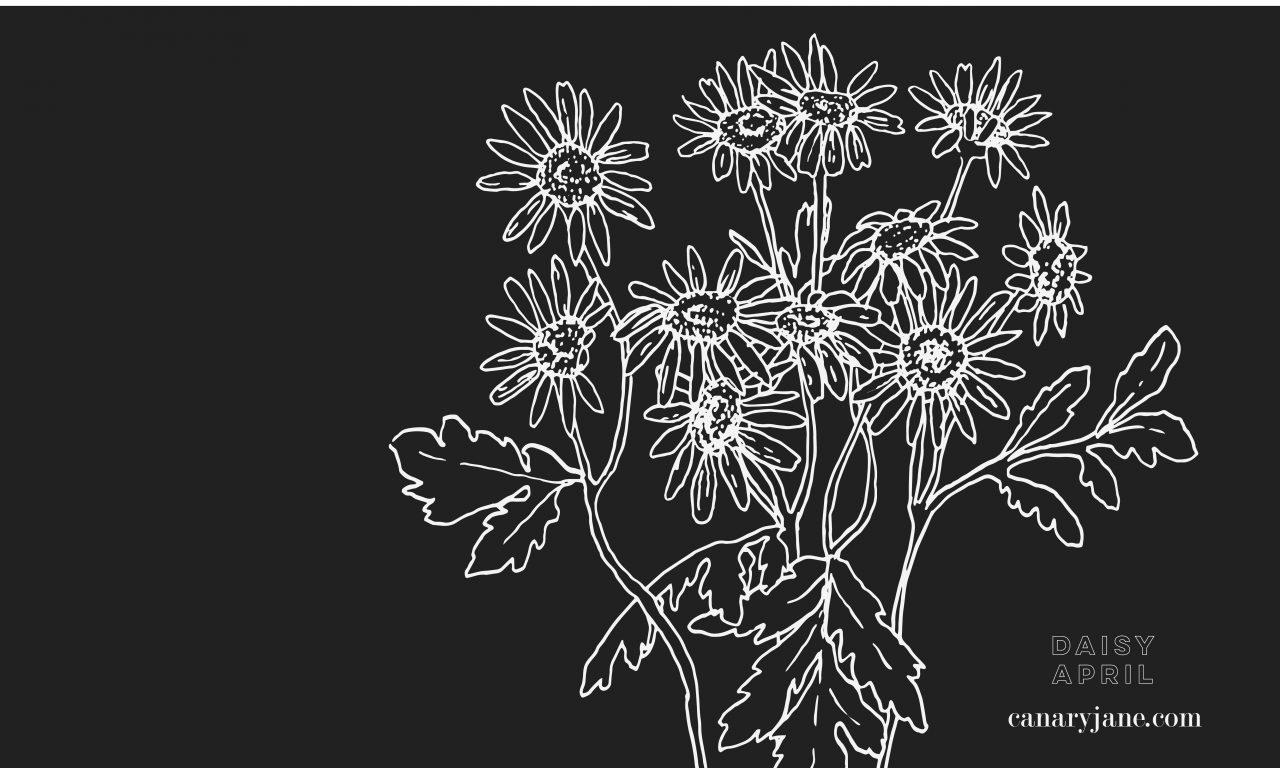 1280x768 April Daisy Birth Flower Background & Coloring Page