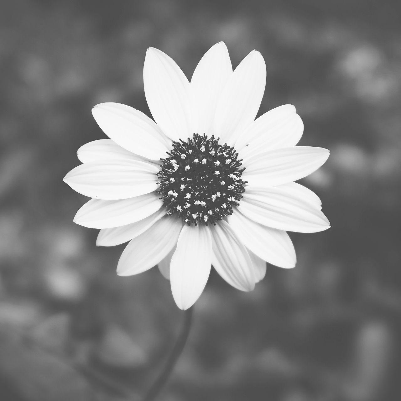 1280x1280 Become a Minimalist for These 12 Reasons. Aesthetic tumblr background, Tumblr background, Black and white background
