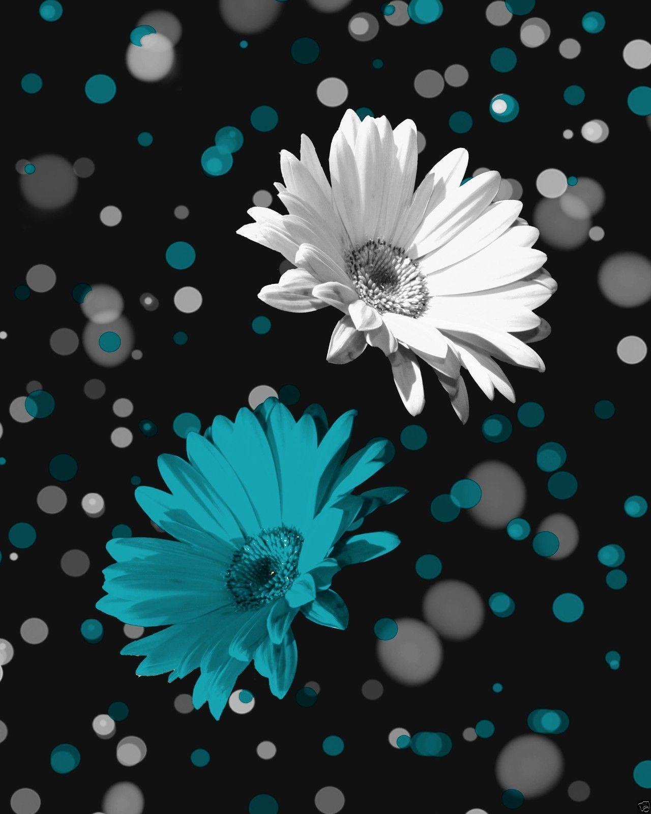1280x1600 Black and White Daisy Wallpaper