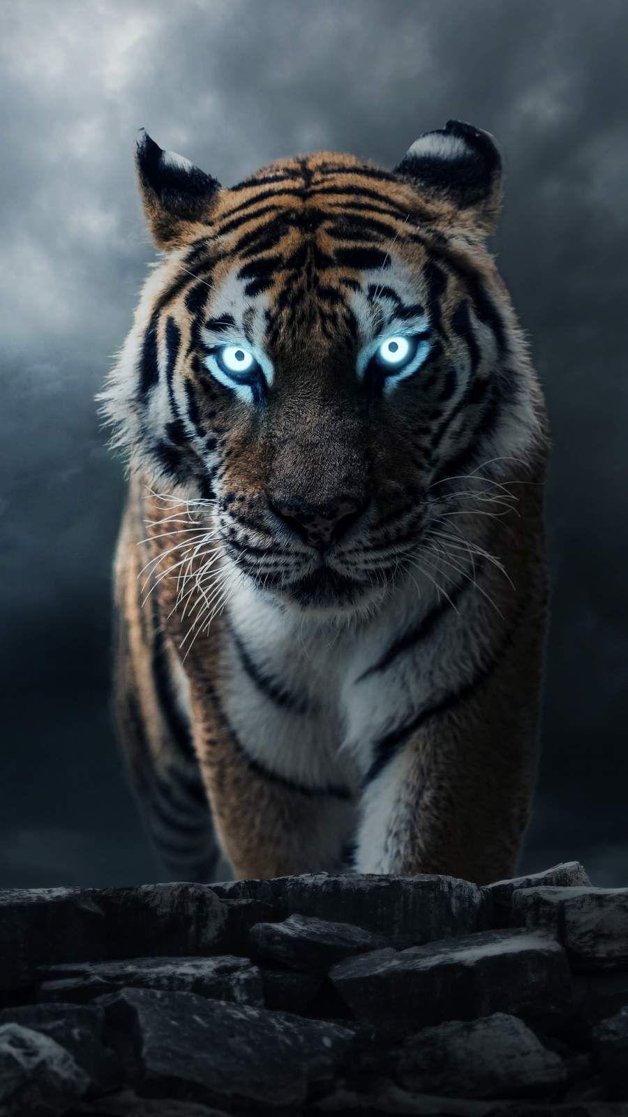 900x1600 iPhone wallpaper image
