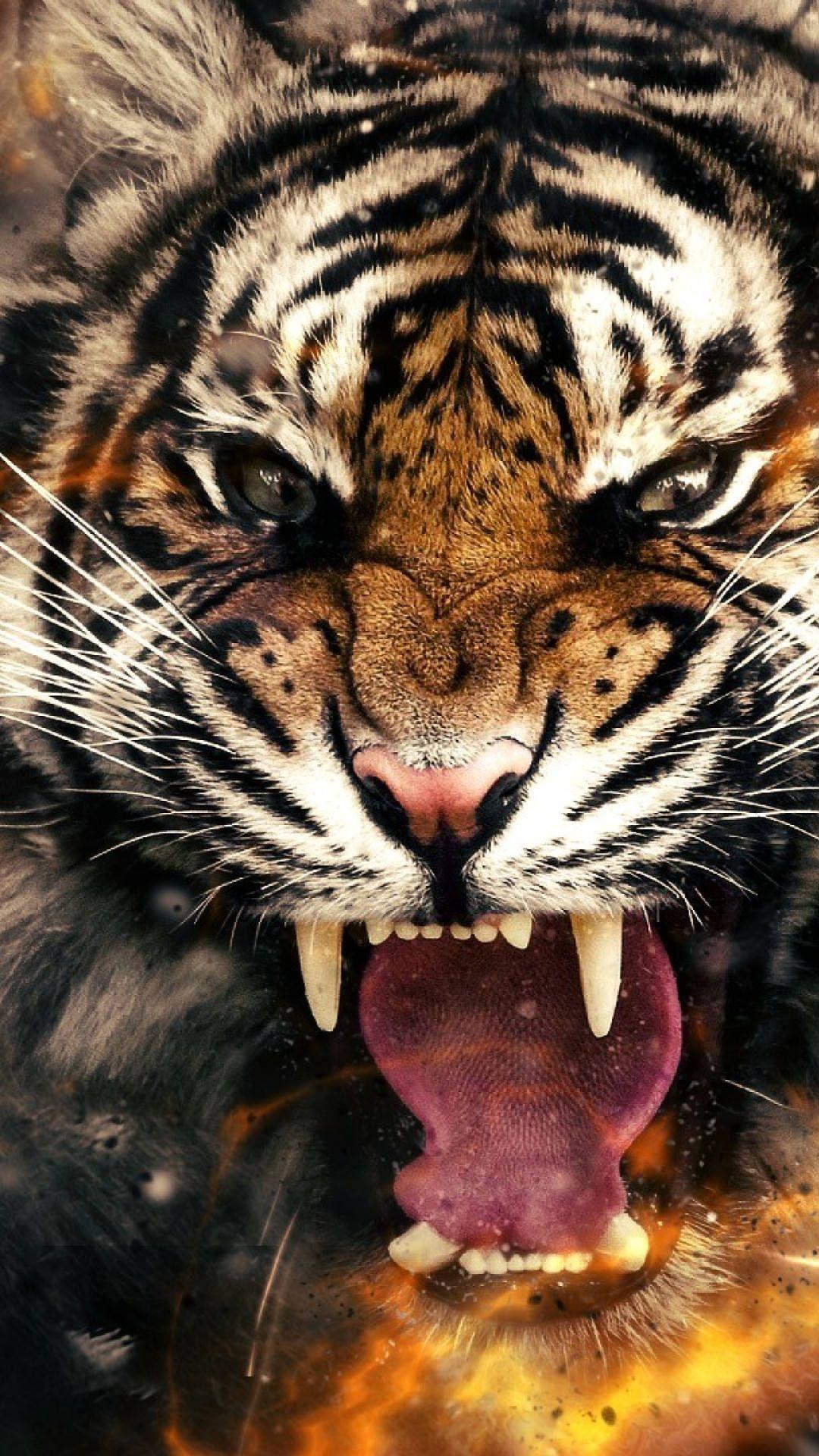 1080x1920 Tiger iPhone Wallpaper