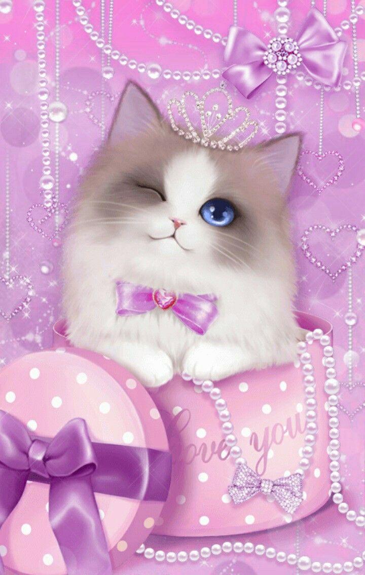 Cute Pink Cat Wallpapers - Top Free Cute Pink Cat Backgrounds