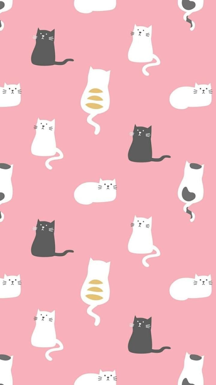 Cute Pink Cat Wallpapers - Top Free Cute Pink Cat Backgrounds