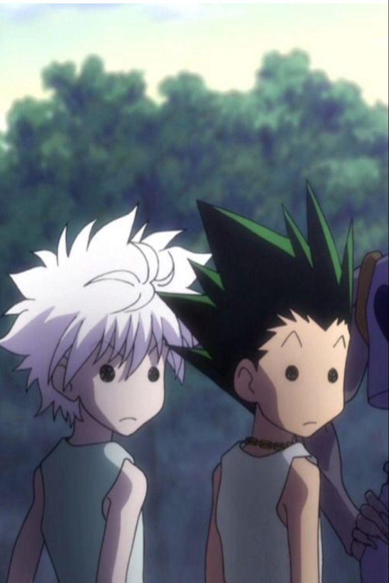 801x1200 Gon and Killua Wallpaper Free HD Wallpaper