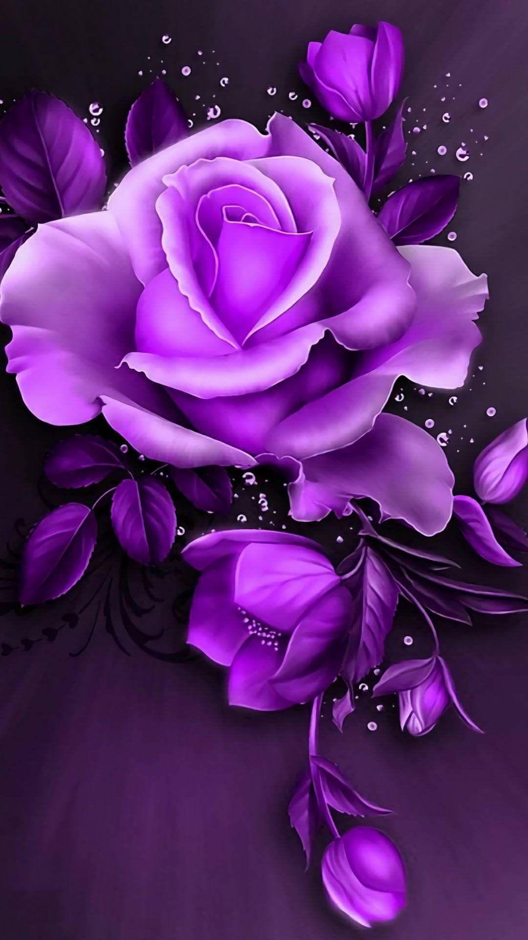 1080x1920 Purple Rose HD Wallpaper