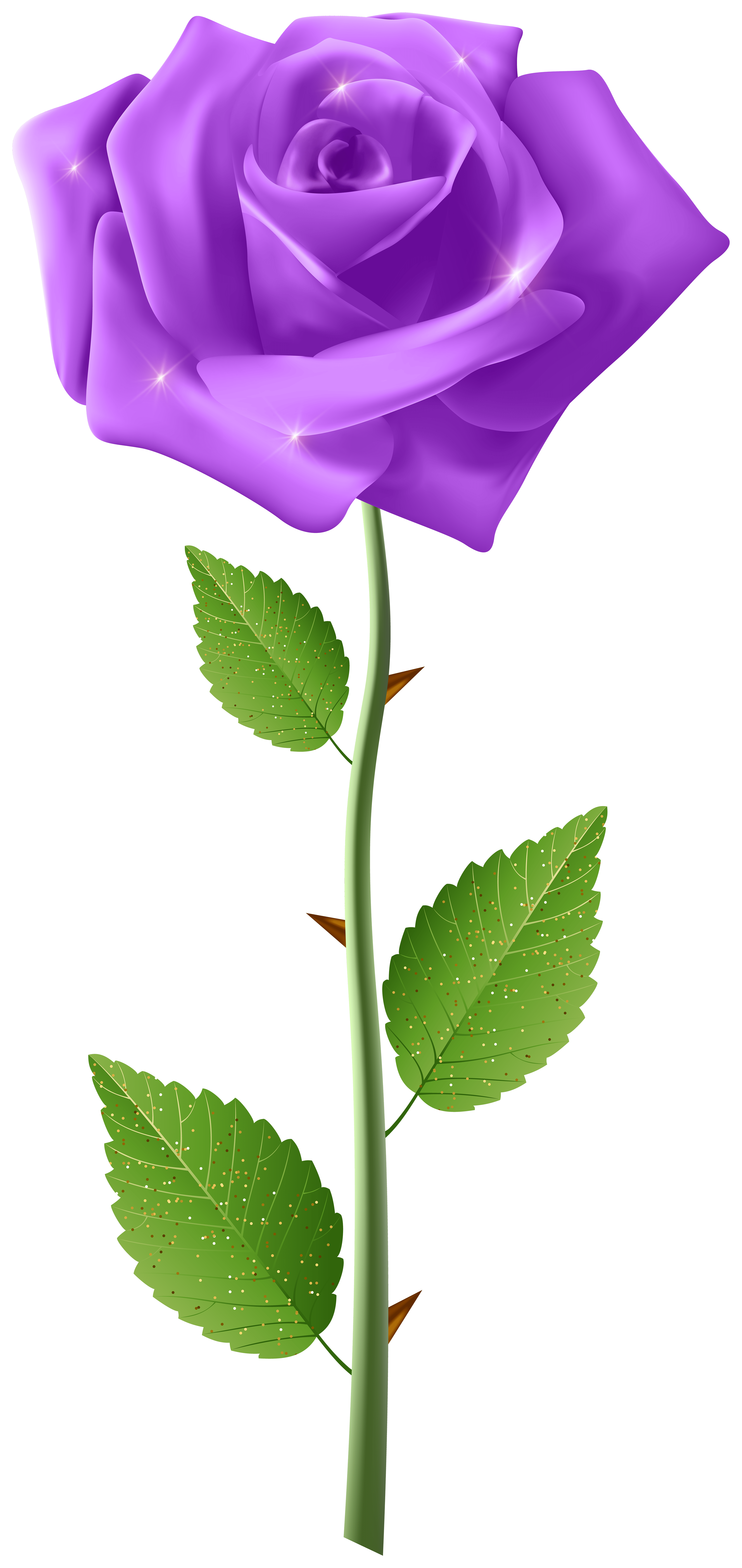 3785x8000 Purple Rose with Steam Transparent Image​-Quality Image and Transparent PNG Free Clipart
