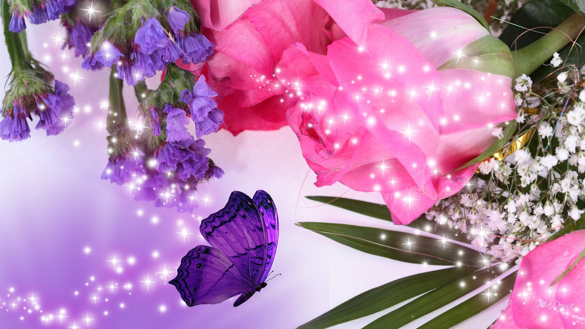 1920x1080 Purple Rose Flower (1920x1080) Resolution Wallpaper, Image, Background, Picture