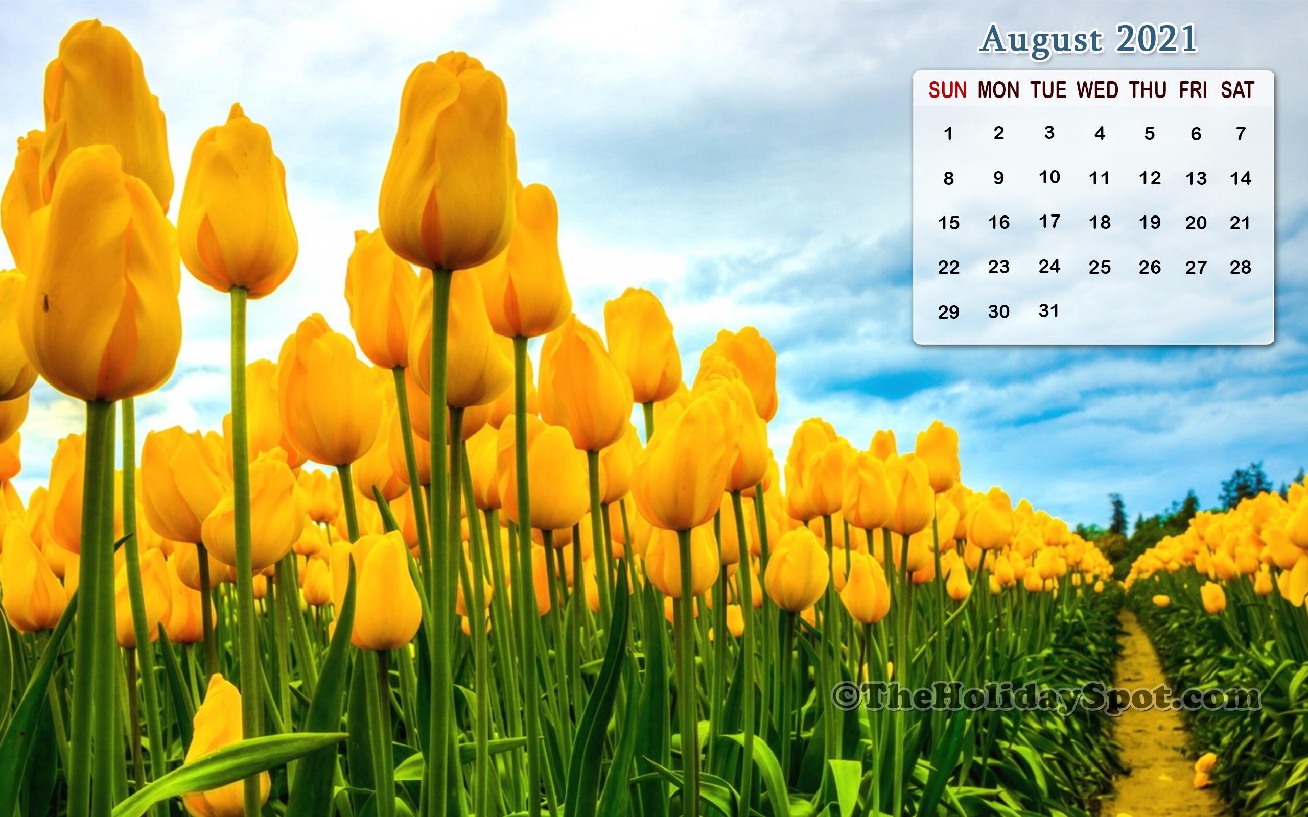 August 2021 Calendar Wallpapers - Top Free August 2021 Calendar ...