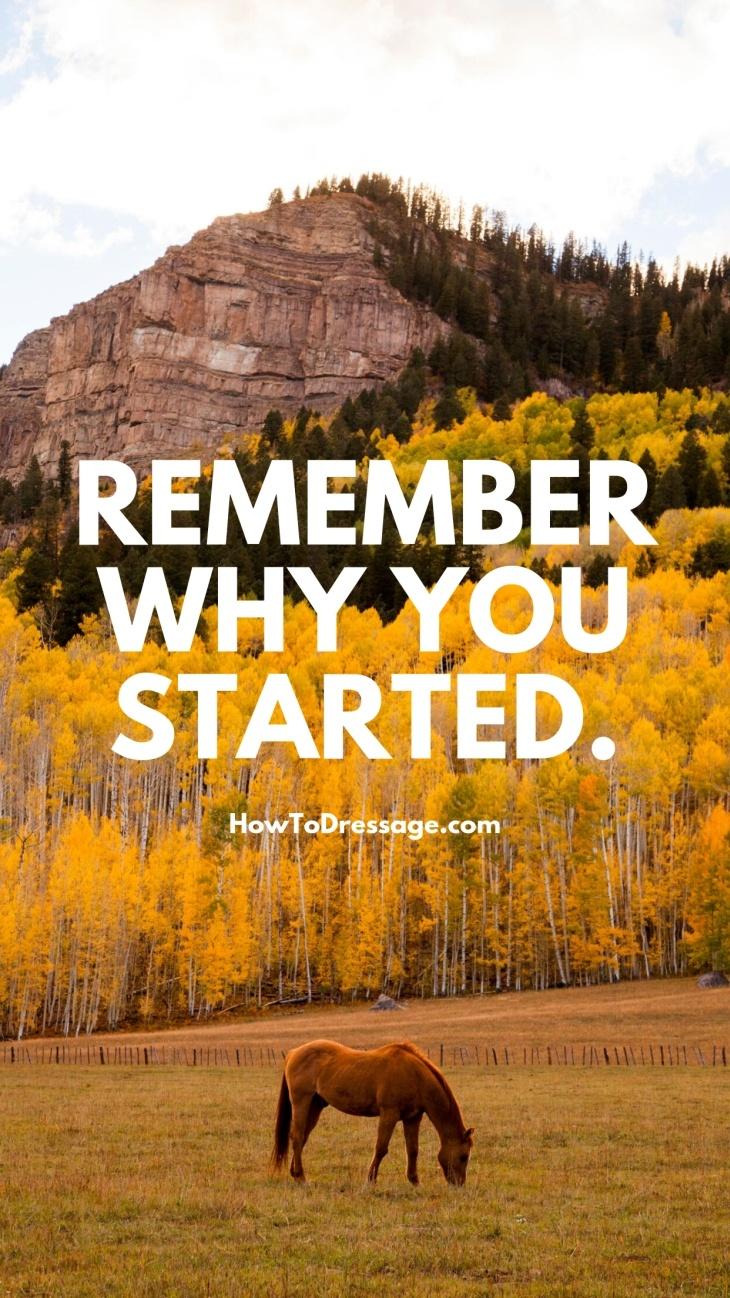Browse Free HD Images of Remember Why You Started Motivational Poster