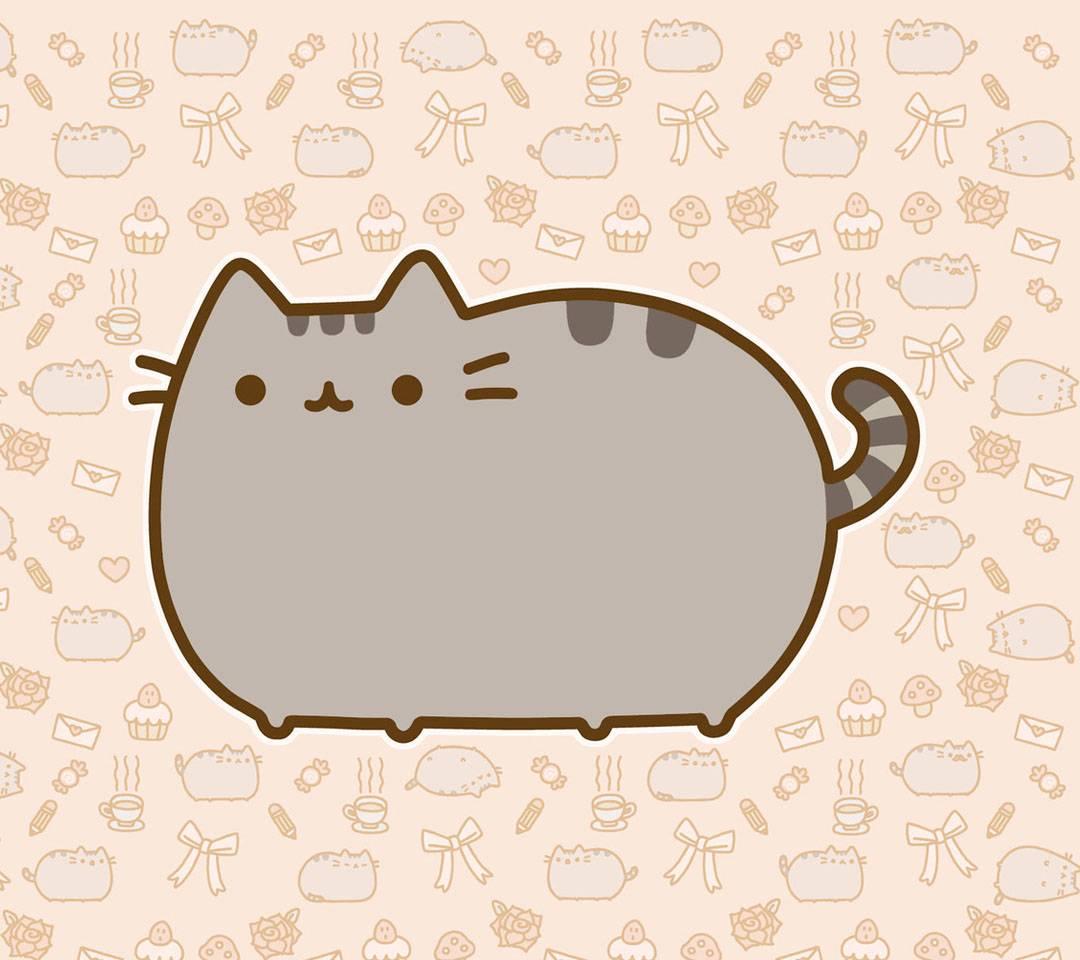 1080x960 Cat Cute Kawaii Pusheen