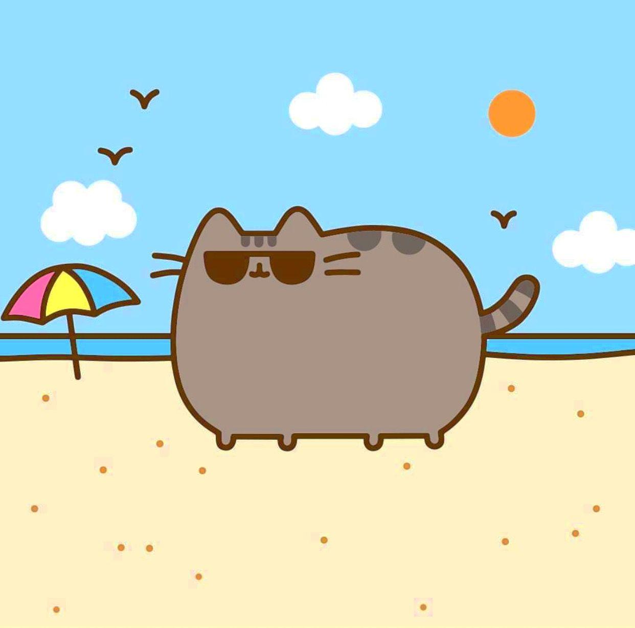 1242x1228 Unicorn Pusheen Cat Wallpaper
