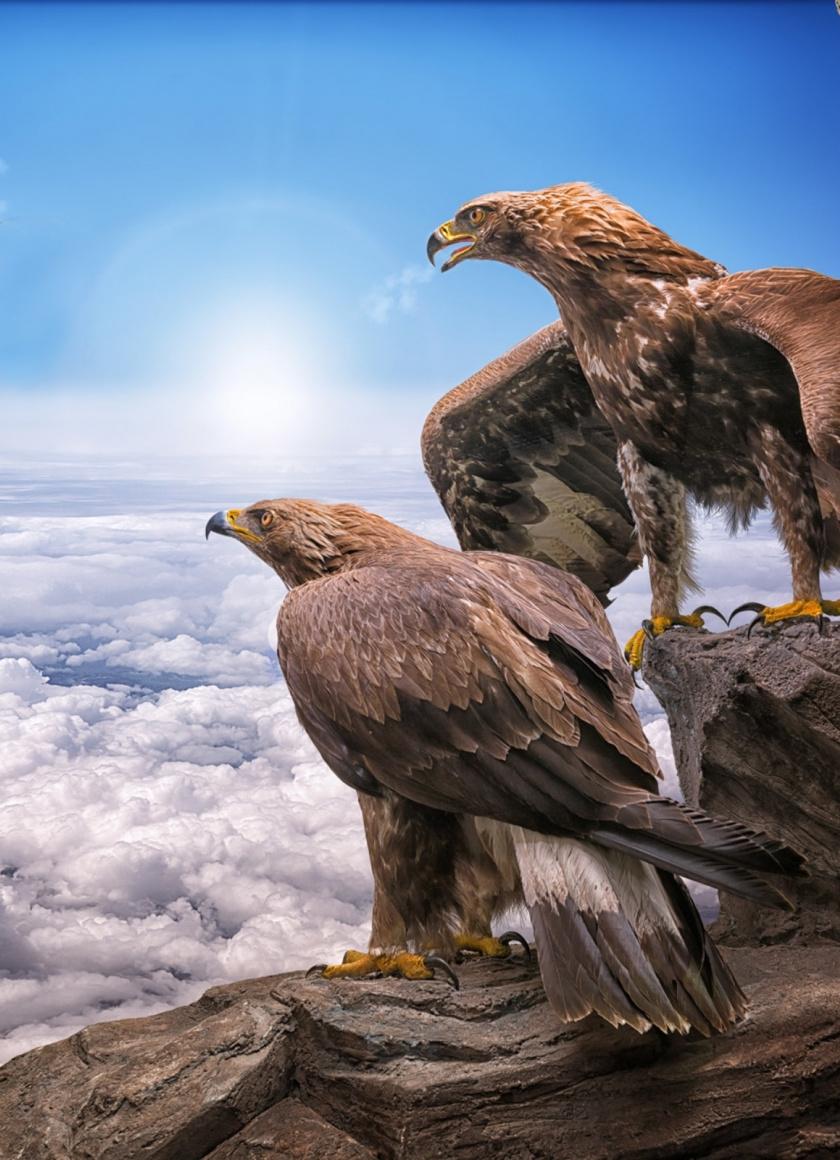 840x1160 Golden Eagles, Birds, Clouds, Wallpaper Eagle Wallpaper iPhone