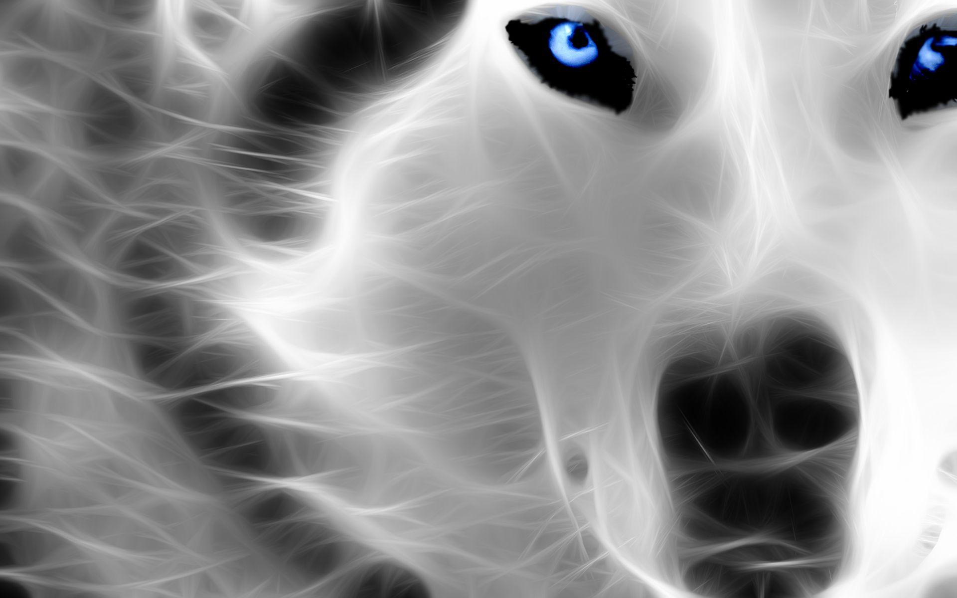 1920x1200 Wolf Neon Cool Background