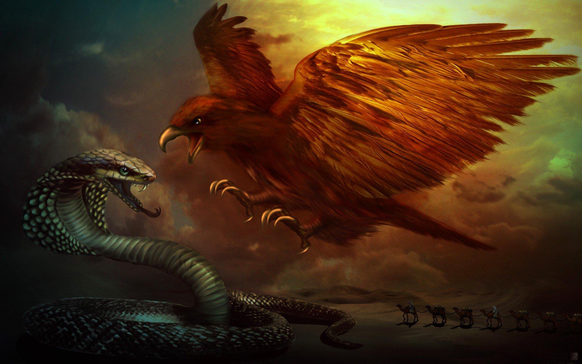 1920x1200 Eagle And Snake