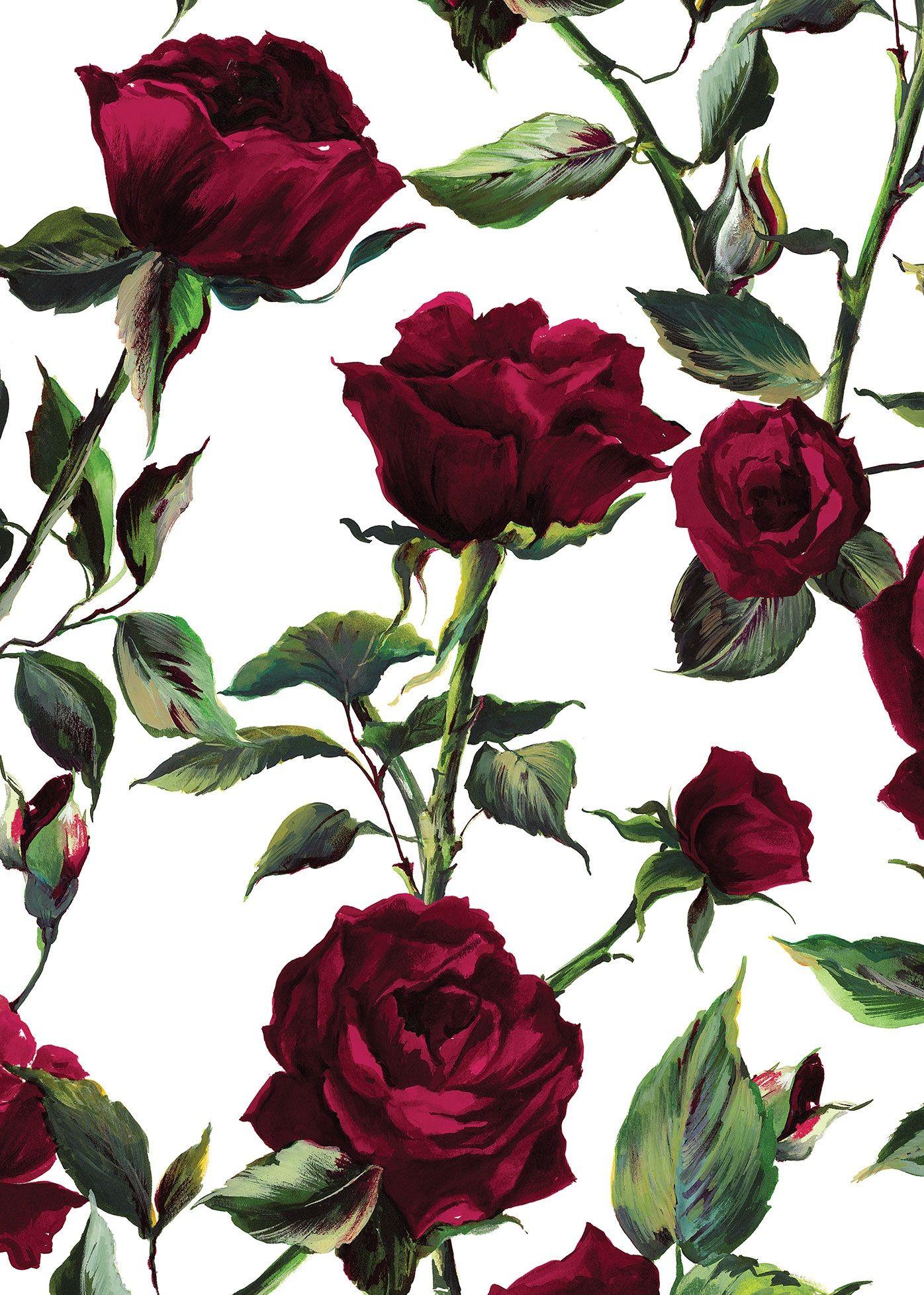 1396x1955 Dolce and Gabbana Winter 2016. Rose wallpaper, Flower wallpaper, Phone wallpaper