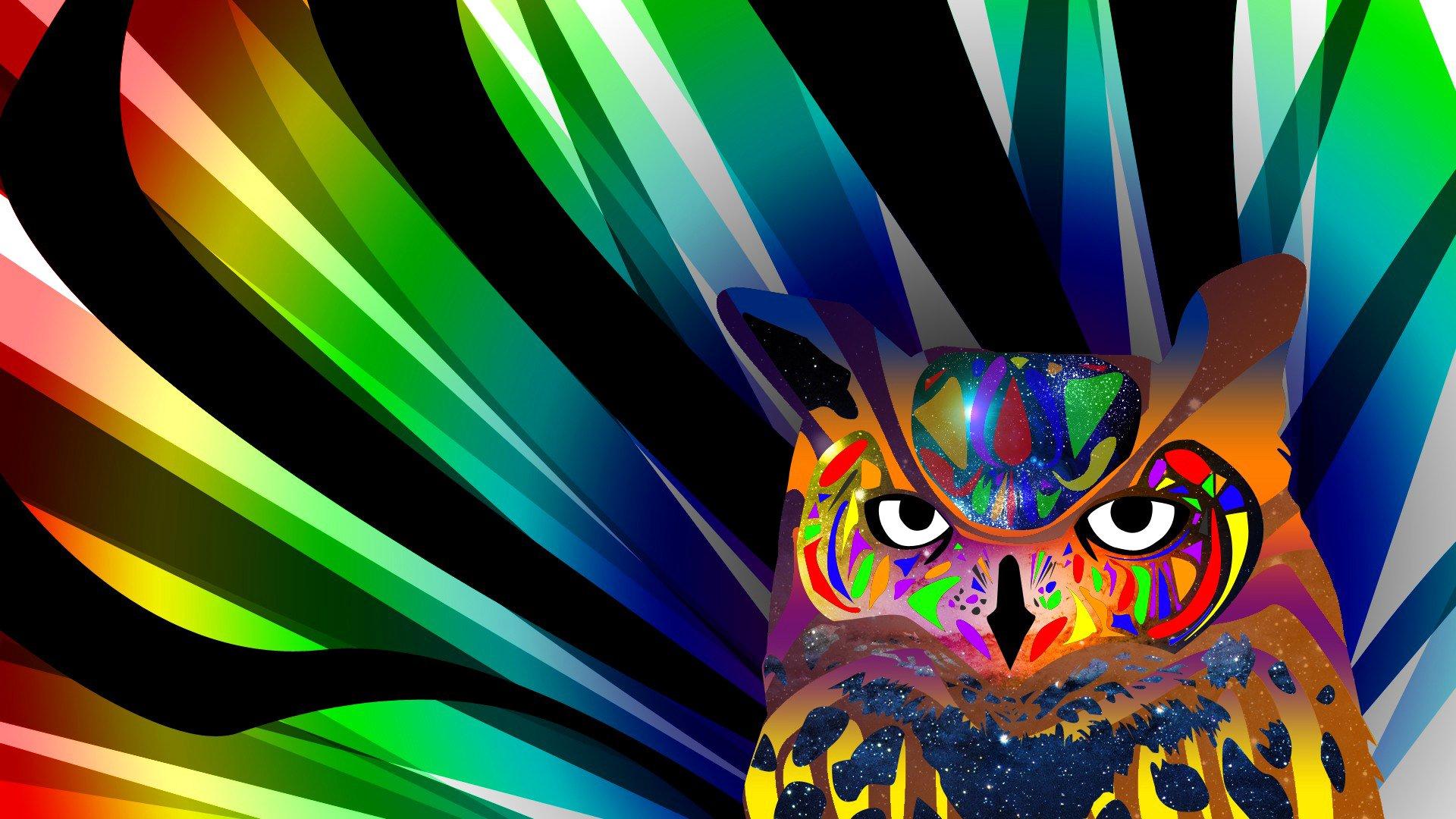 1920x1080 Owl HD Wallpaper