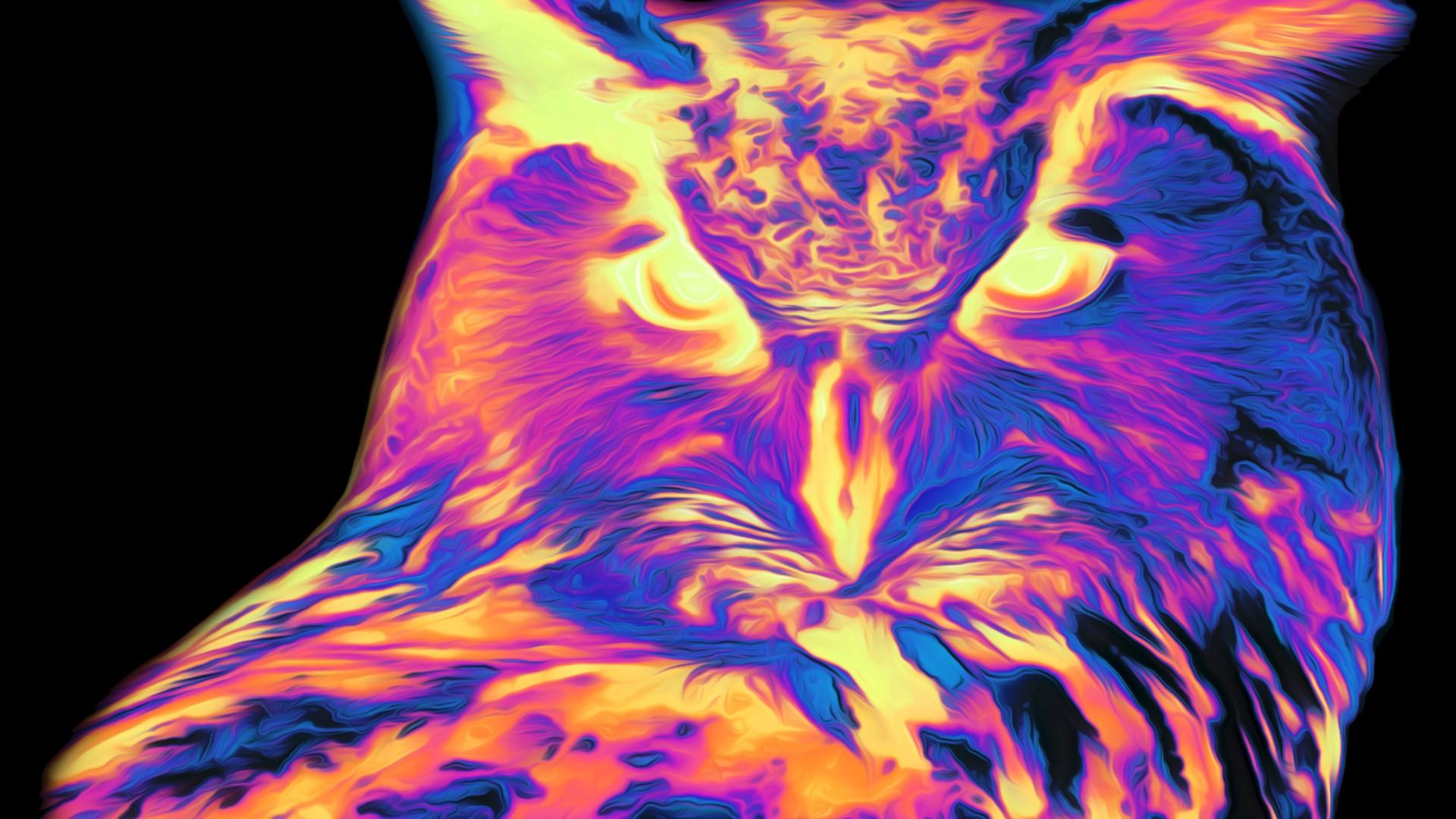 1920x1080 Trippy Spectrum Owl