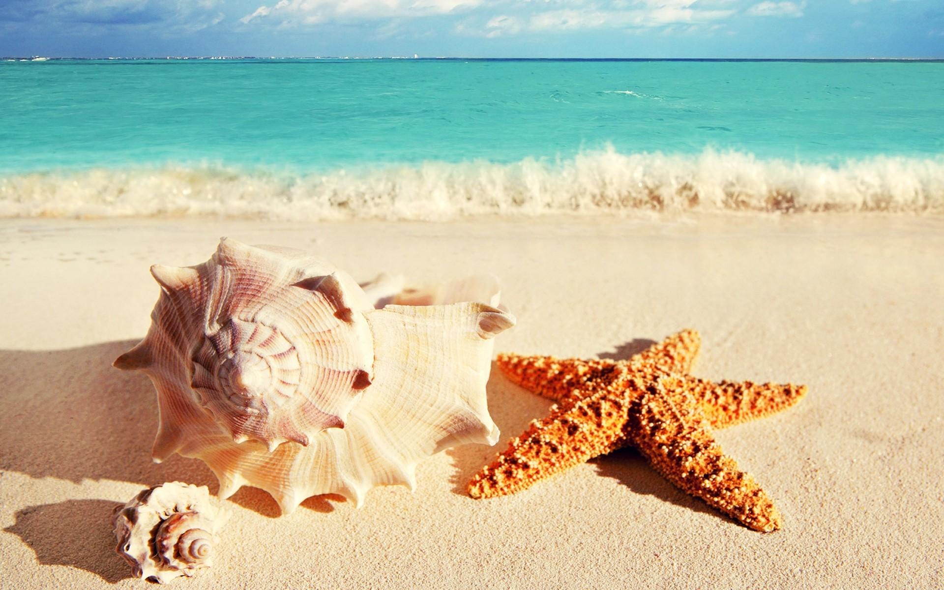 1920x1200 Free download Summer Holiday Wallpaper HD Download The Wallpaper [1920x1200] for your Desktop, Mobile & Tablet. Explore Free Holiday Wallpaper. Free Thanksgiving Wallpaper, Free Animated Snowy Christmas Wallpaper, Holiday