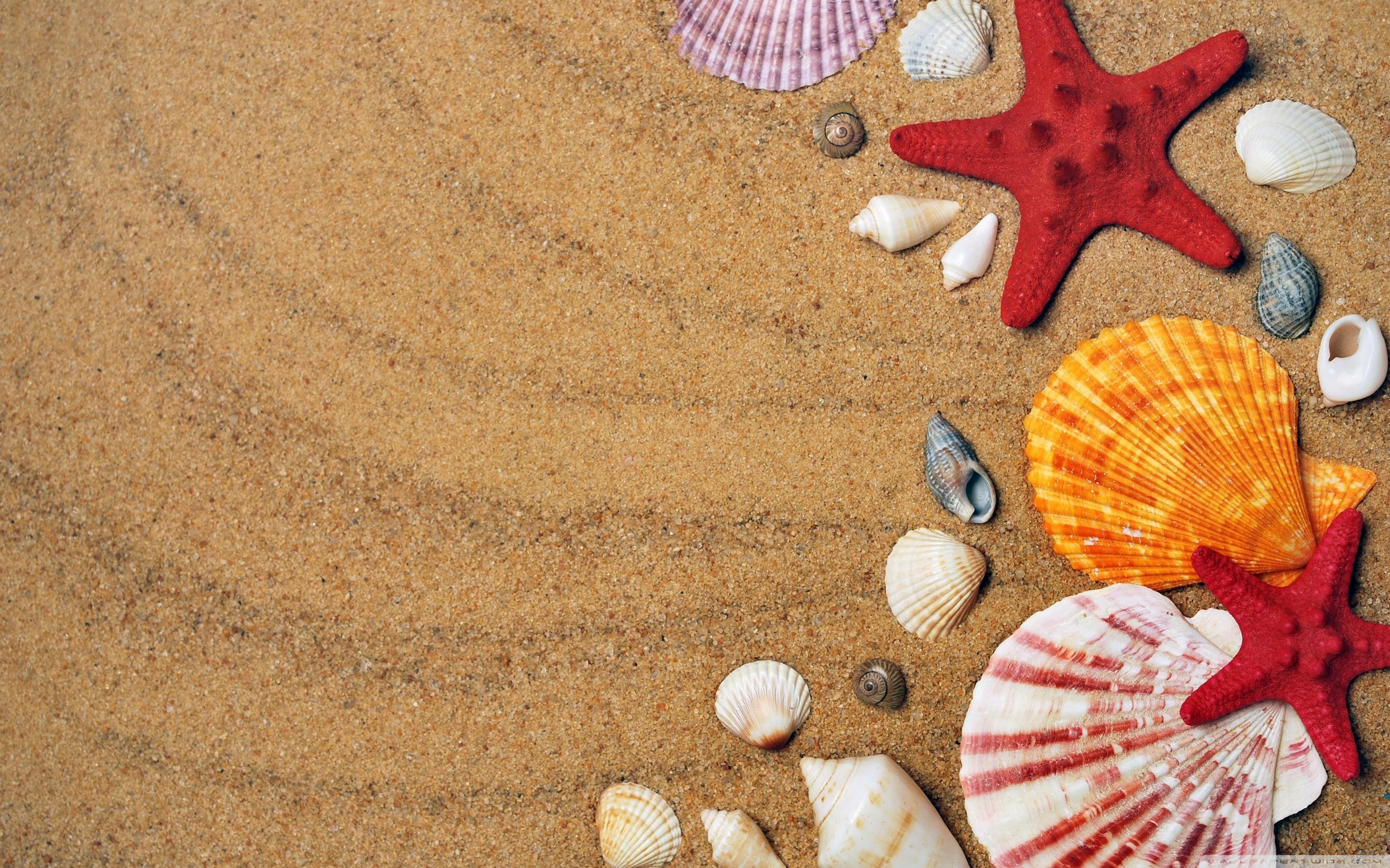 2880x1800 Summer Holiday Background Ultra HD Desktop Background Wallpaper for 4K UHD TV : Widescreen & UltraWide Desktop & Laptop : Tablet
