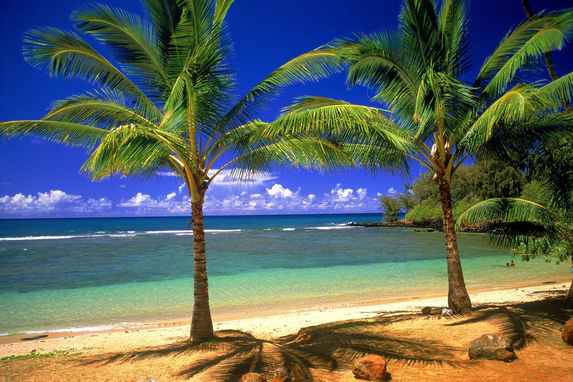 1999x1333 Summer Holiday Wallpaper HD Picture Download. Full HD Wallpaper