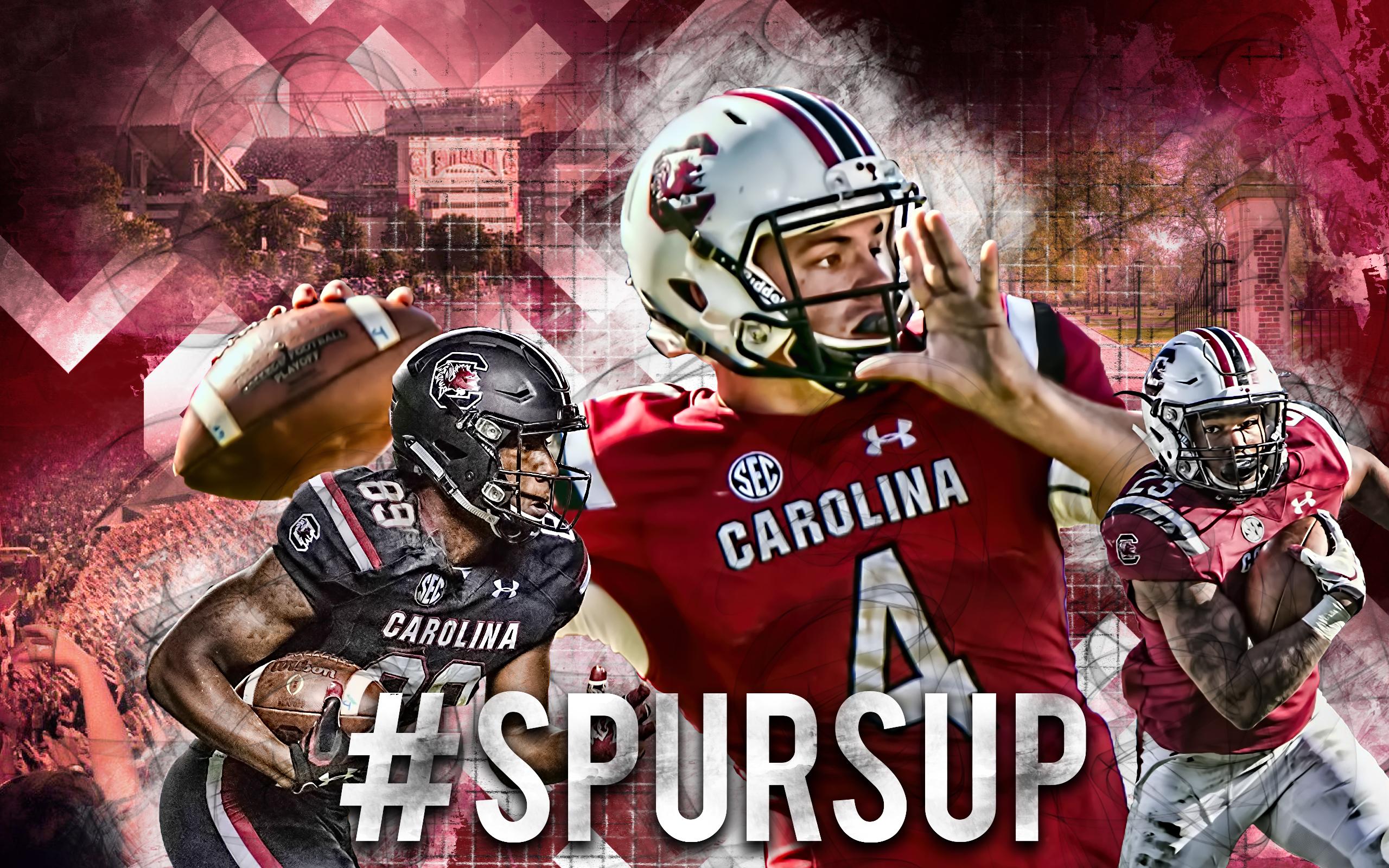 2560x1600 I put together this wallpaper for the new era of Gamecock football and felt like sharing! Hope y'all enjoy! Spurs Up