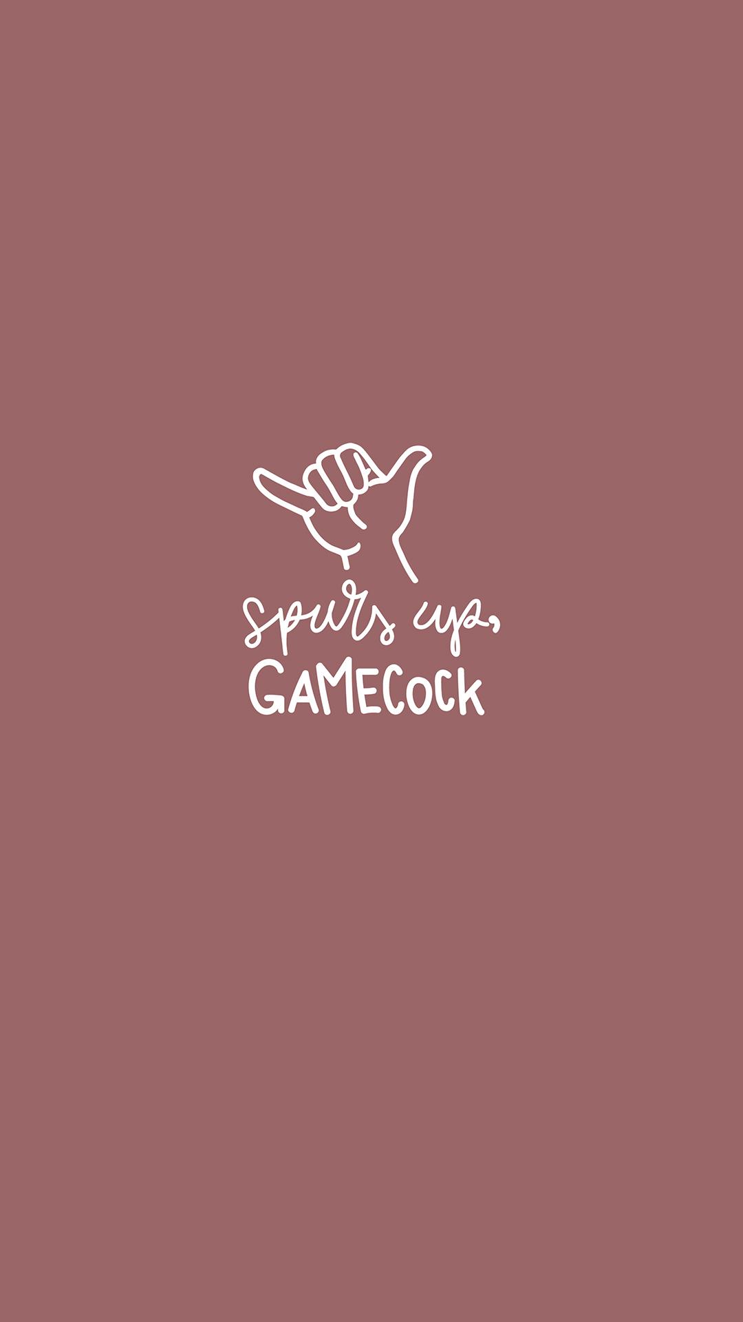 1080x1920 Digital Swag of Undergraduate Admissions. University of South Carolina